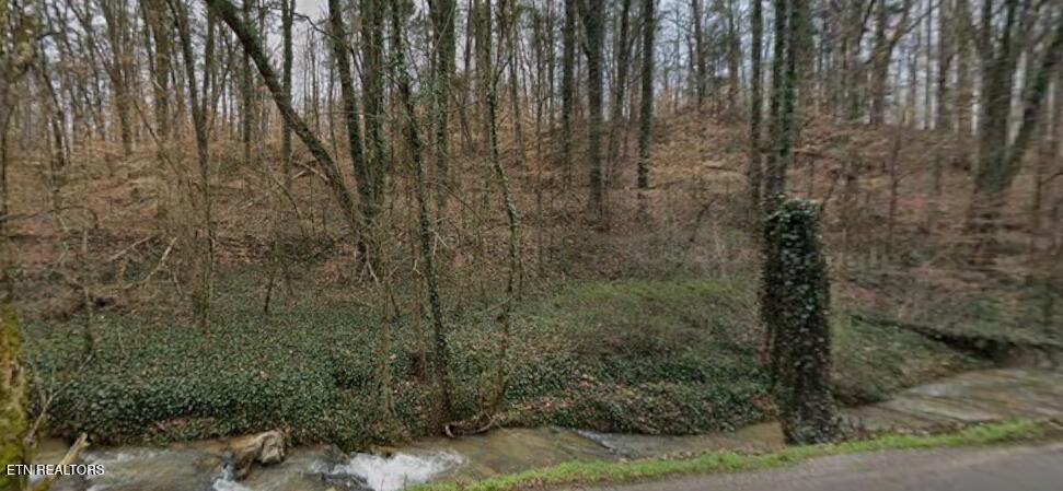 9025 Conner Road Powell TN 37849