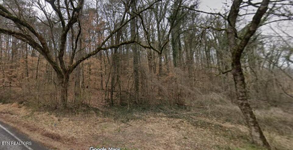 9025 Conner Road Powell TN 37849