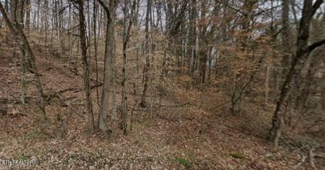9025 Conner Road Powell TN 37849