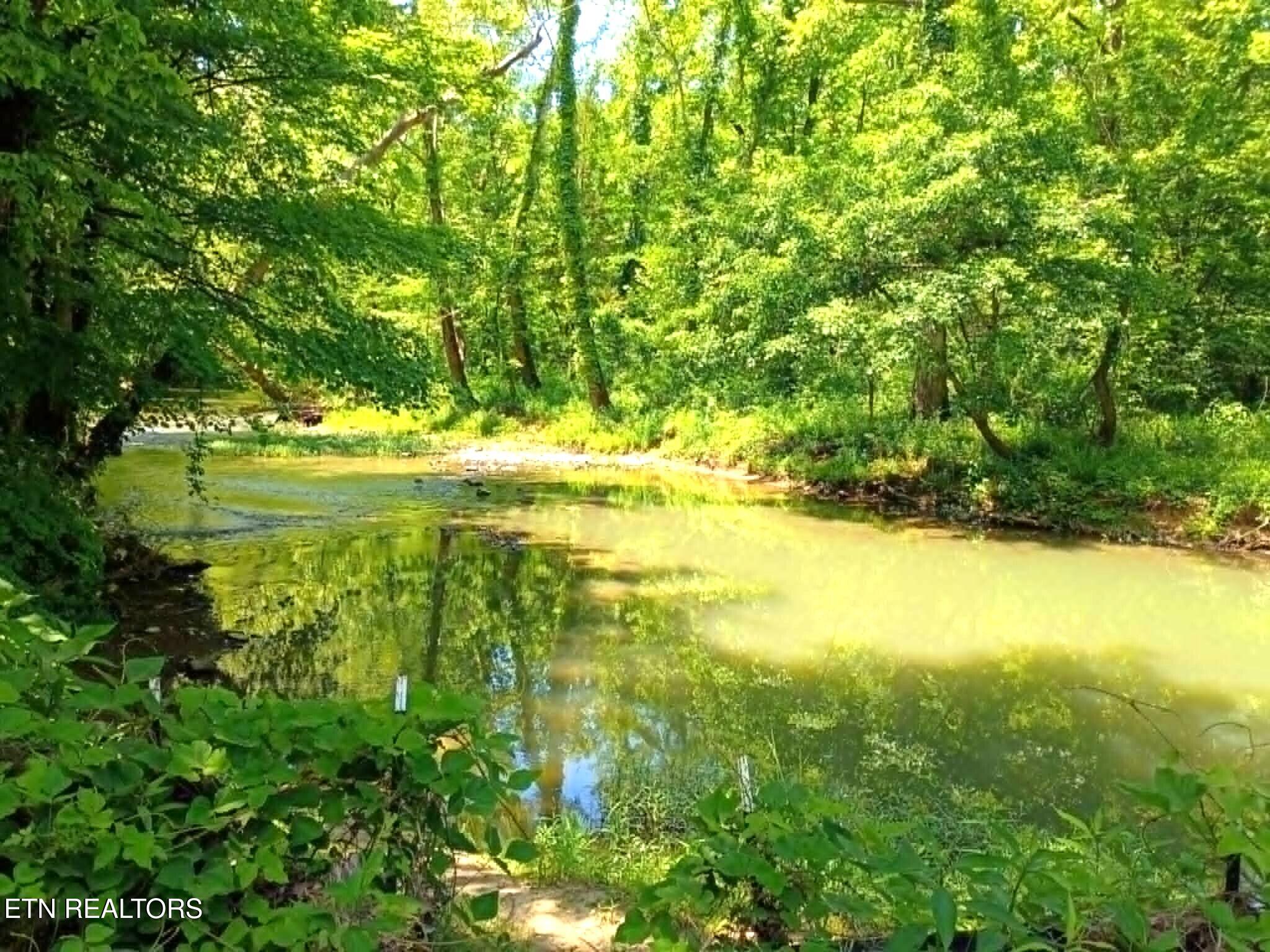 9025 Conner Road Powell TN 37849
