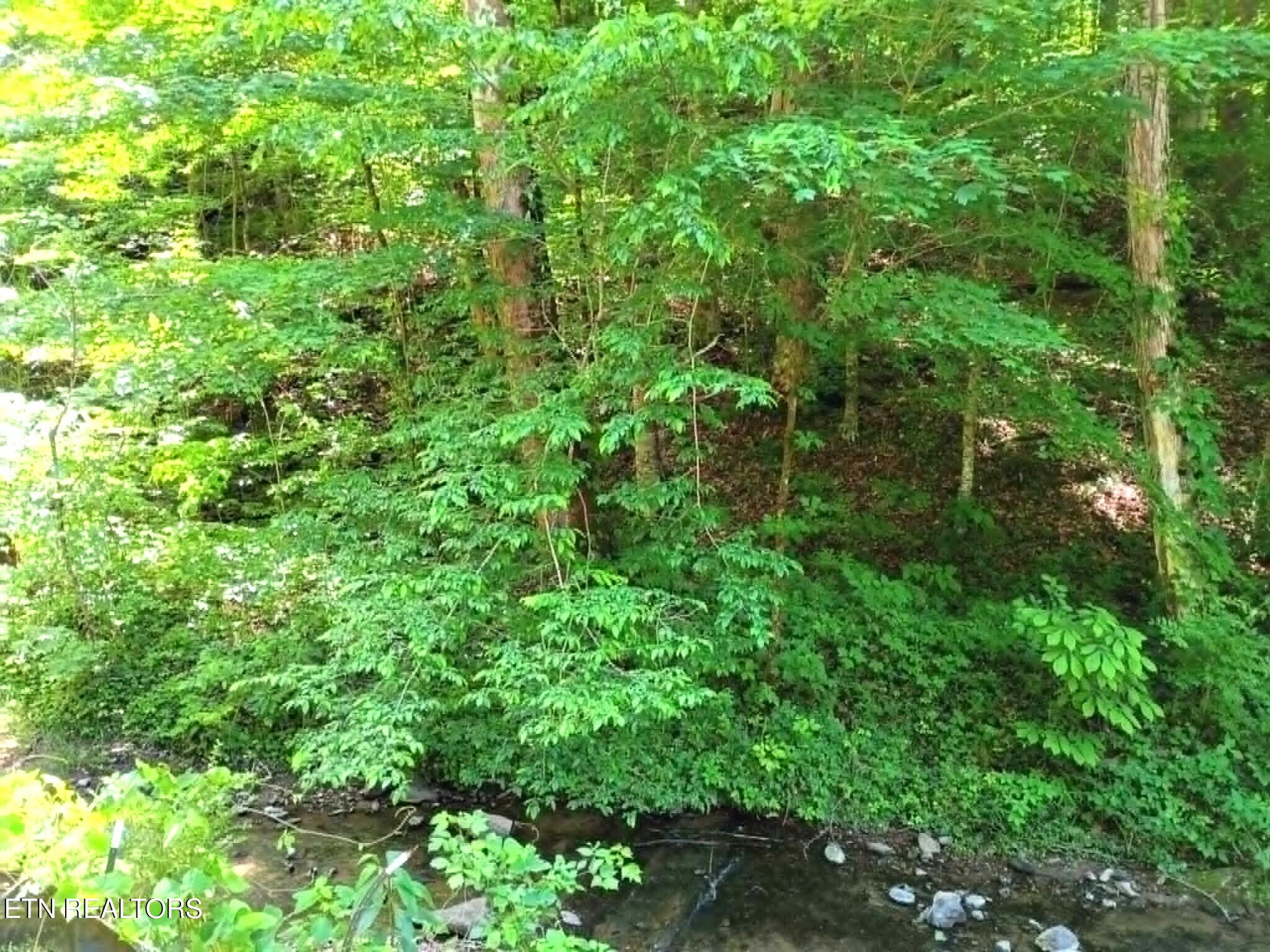 9025 Conner Road Powell TN 37849