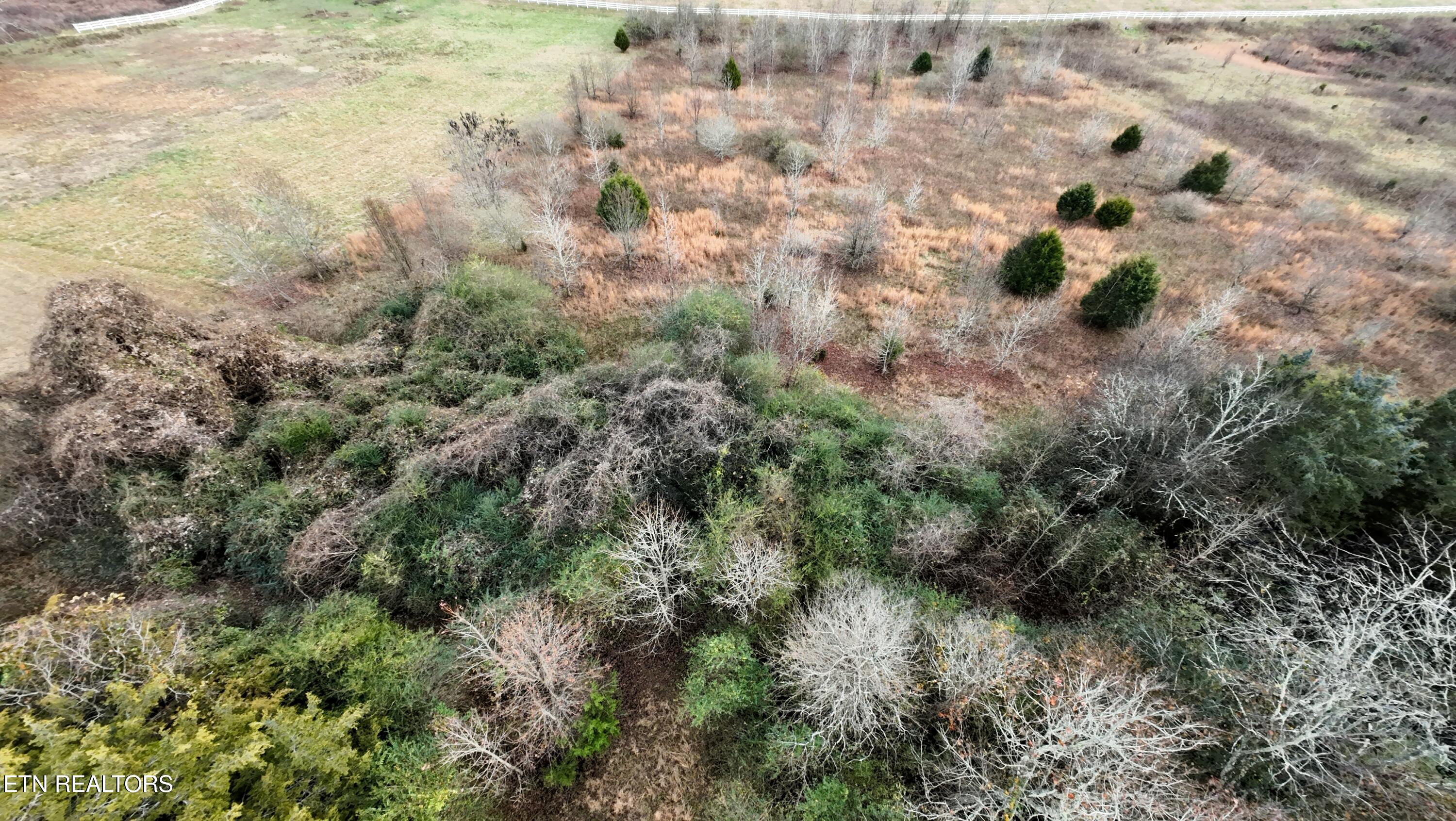 105 Roaming Fawn Rockwood TN 37854