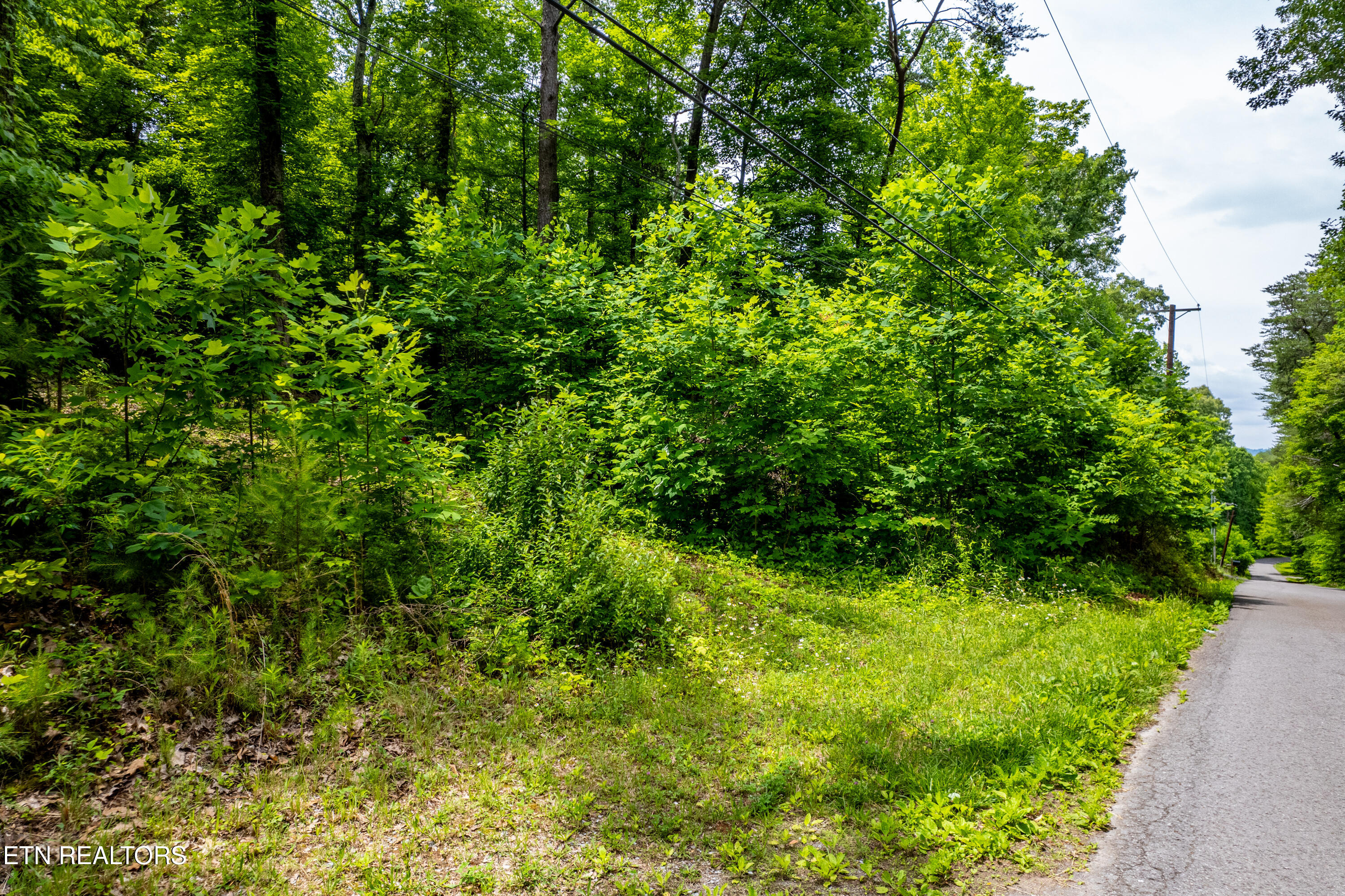 2353 Dave Smith Road Kodak TN 37764