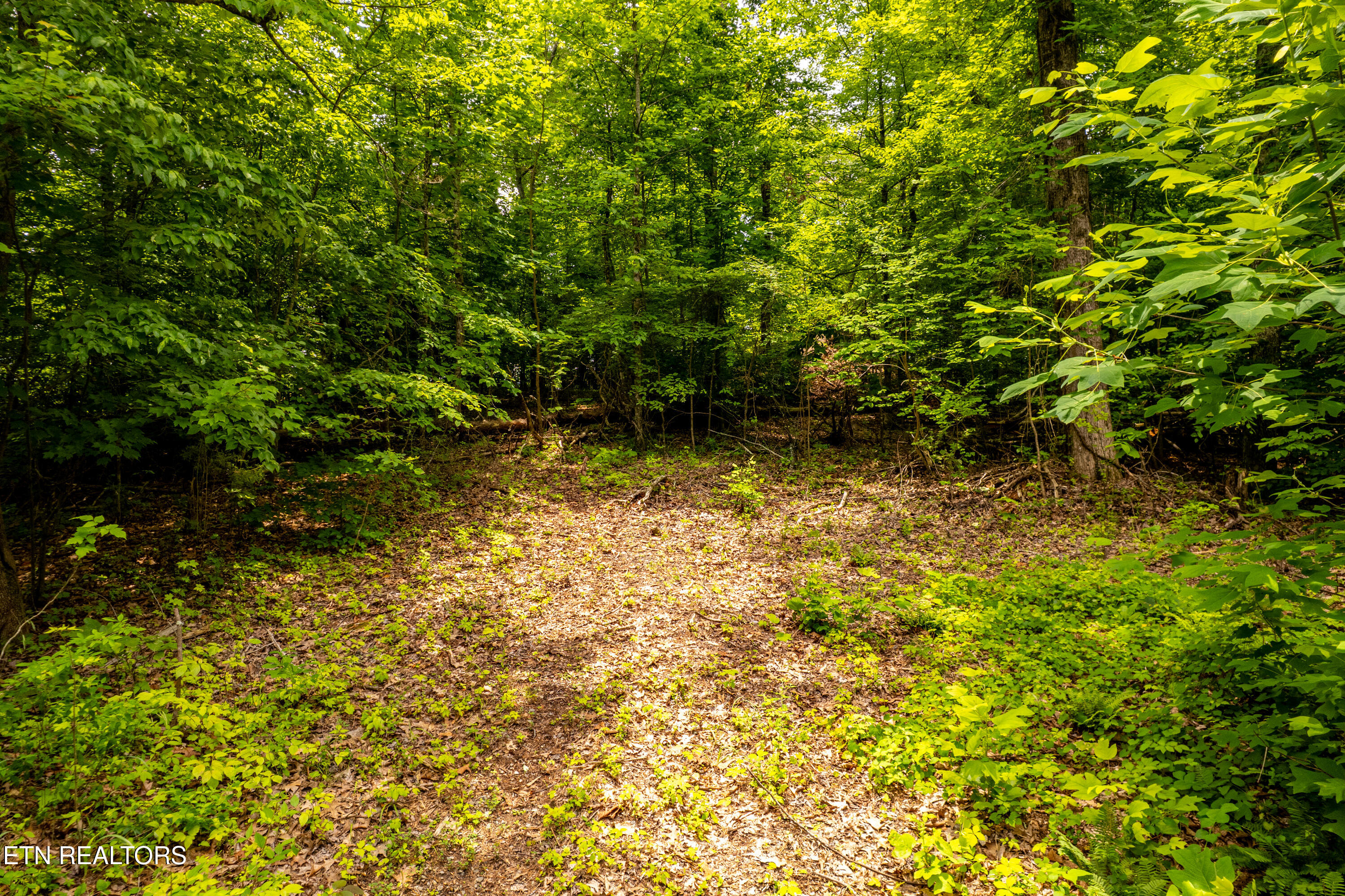 2353 Dave Smith Road Kodak TN 37764