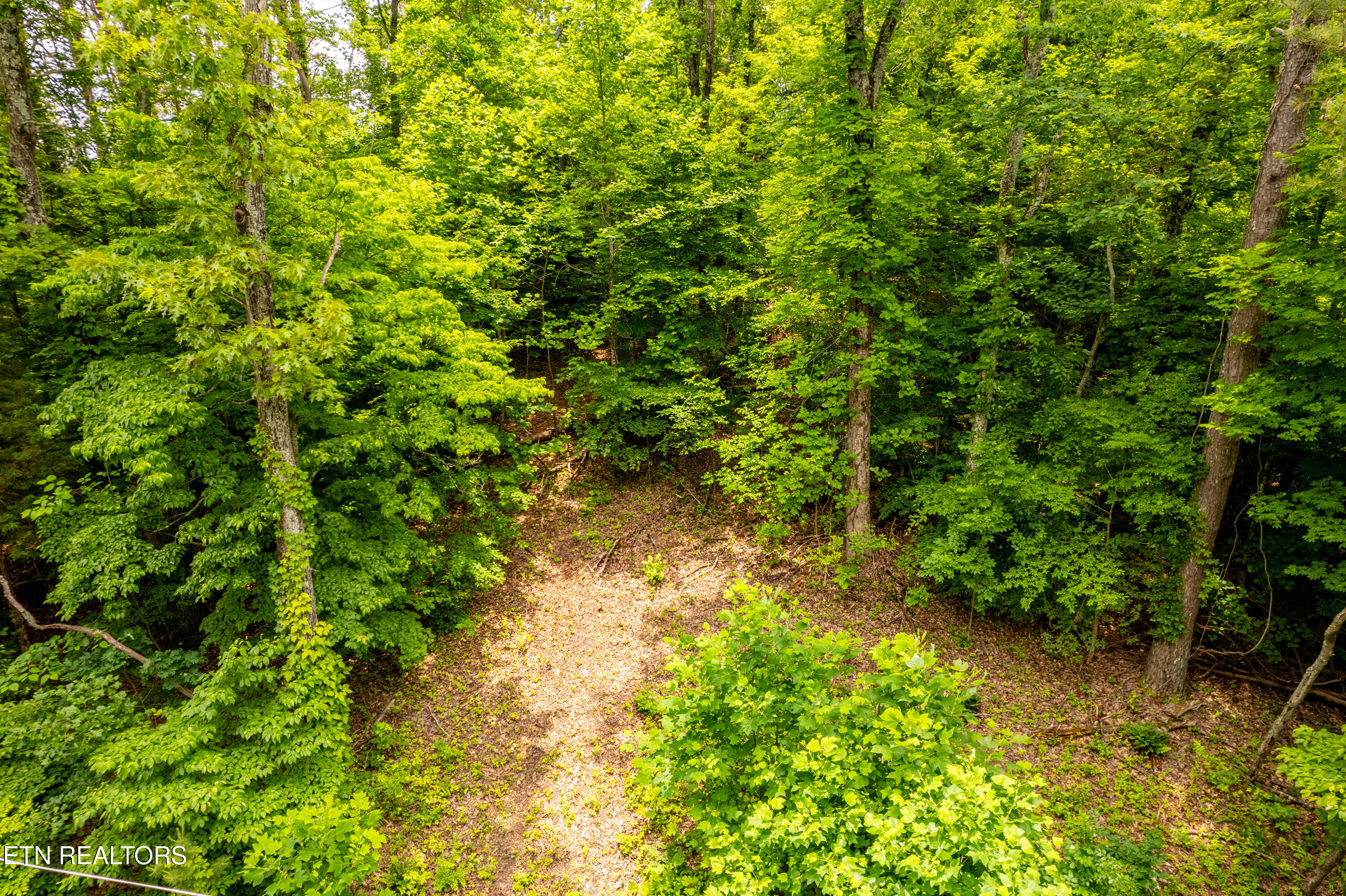 2353 Dave Smith Road Kodak TN 37764