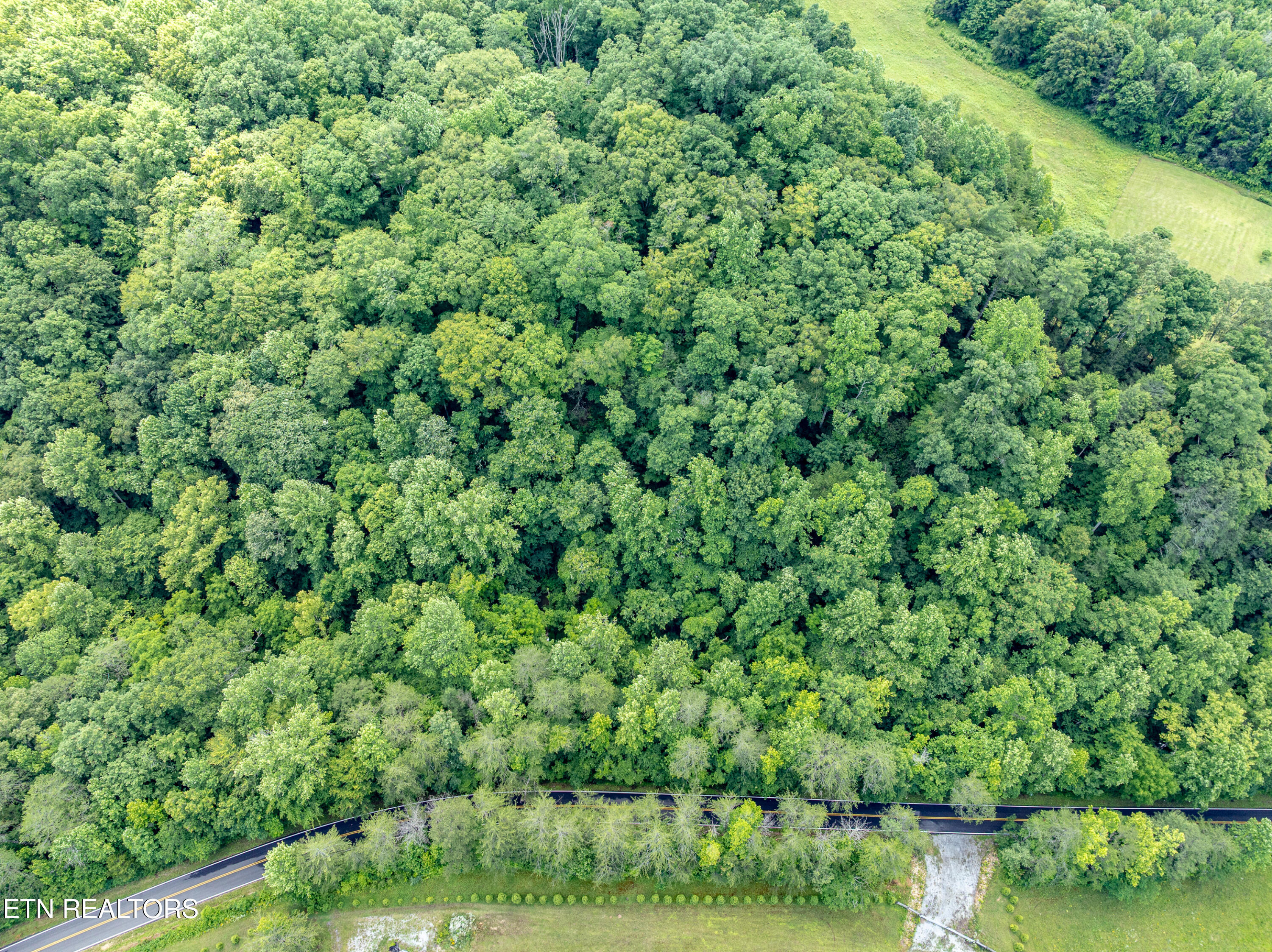 1477 Old Chilhowee Road Seymour TN 37865