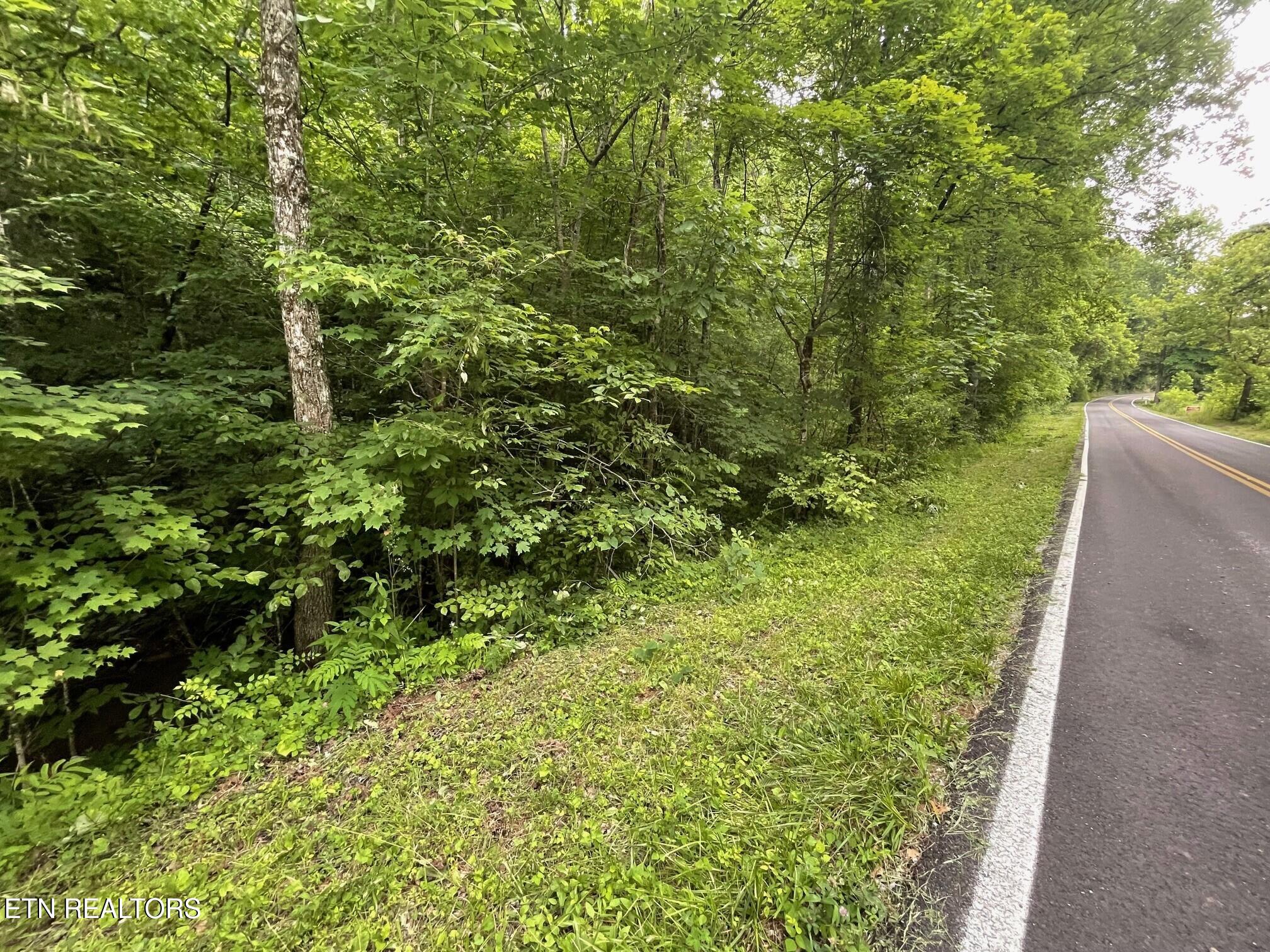 1477 Old Chilhowee Road Seymour TN 37865