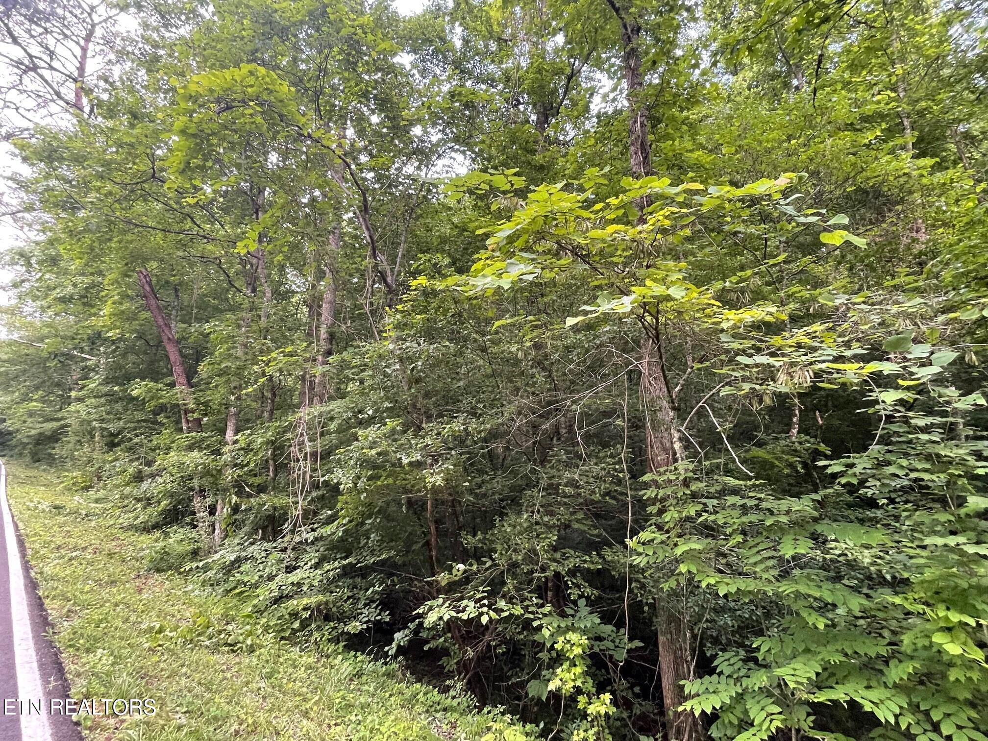 1477 Old Chilhowee Road Seymour TN 37865