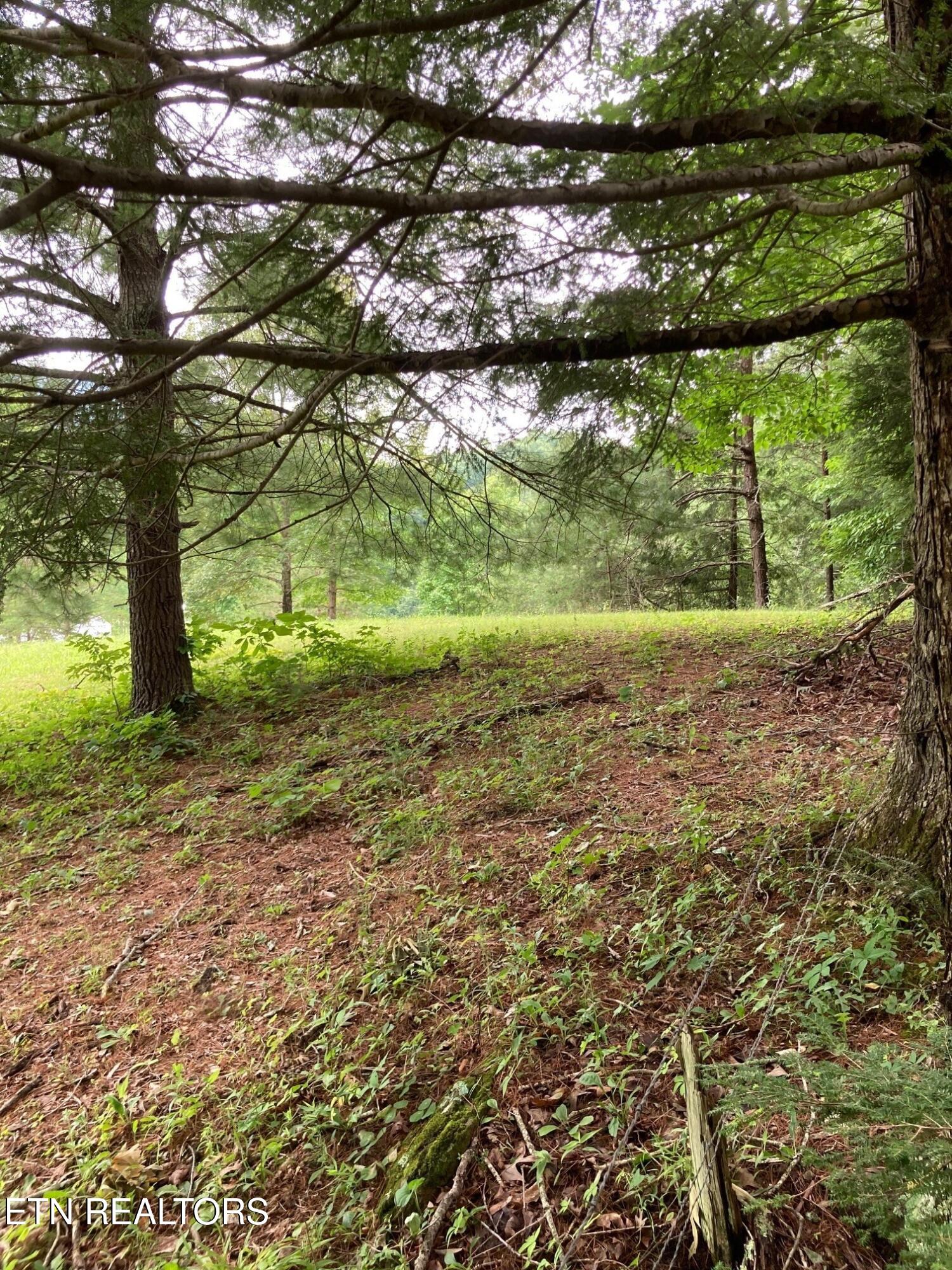 1477 Old Chilhowee Road Seymour TN 37865