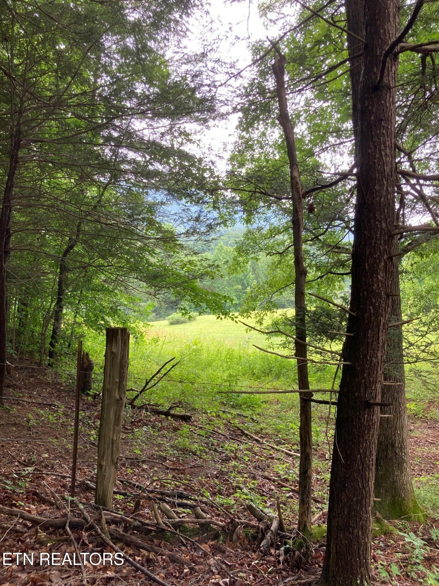 1477 Old Chilhowee Road Seymour TN 37865