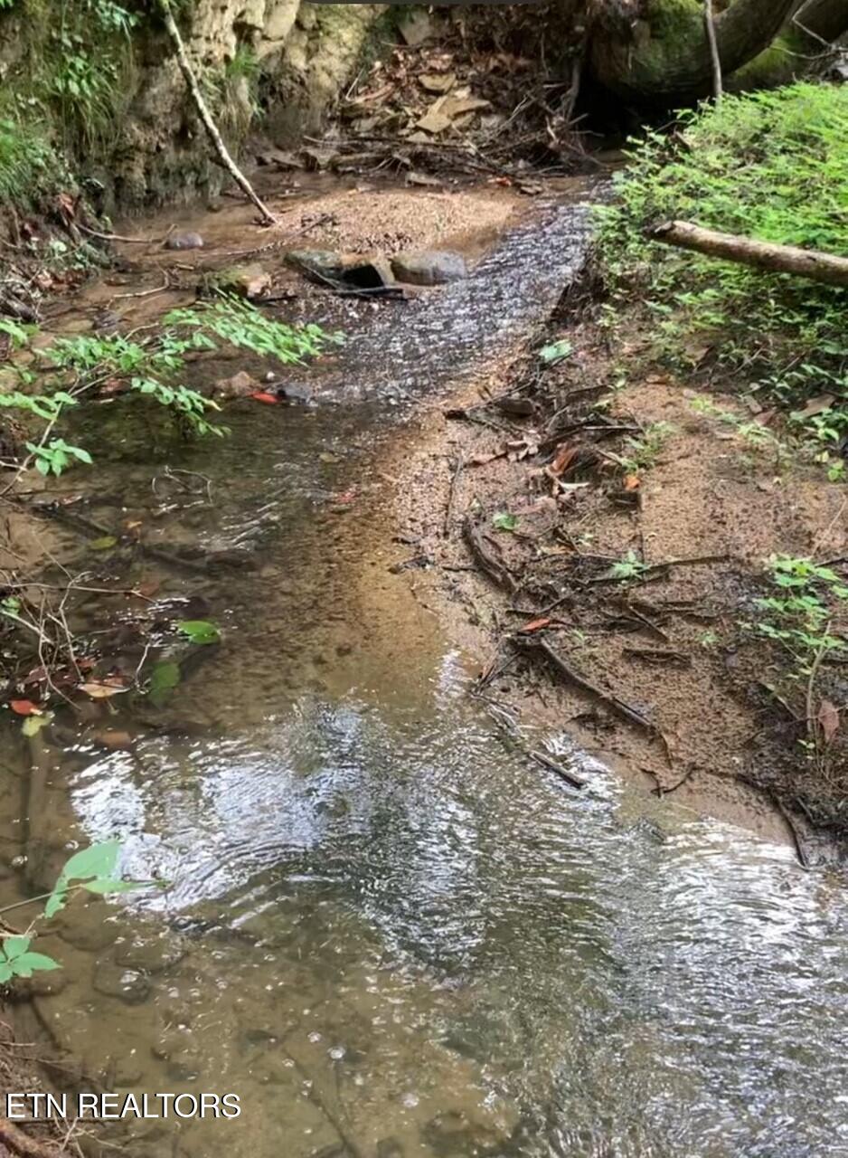 1477 Old Chilhowee Road Seymour TN 37865