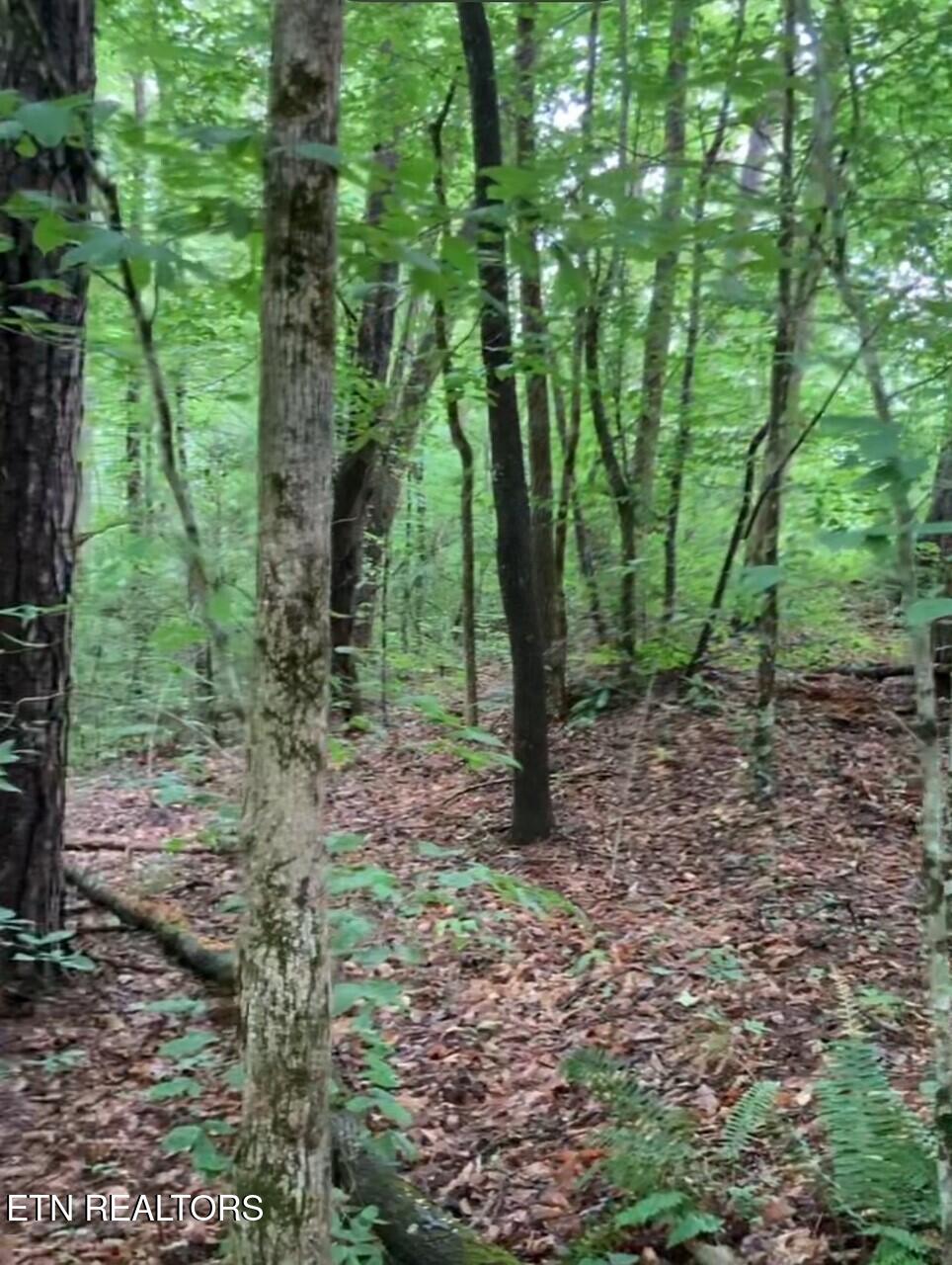 1477 Old Chilhowee Road Seymour TN 37865