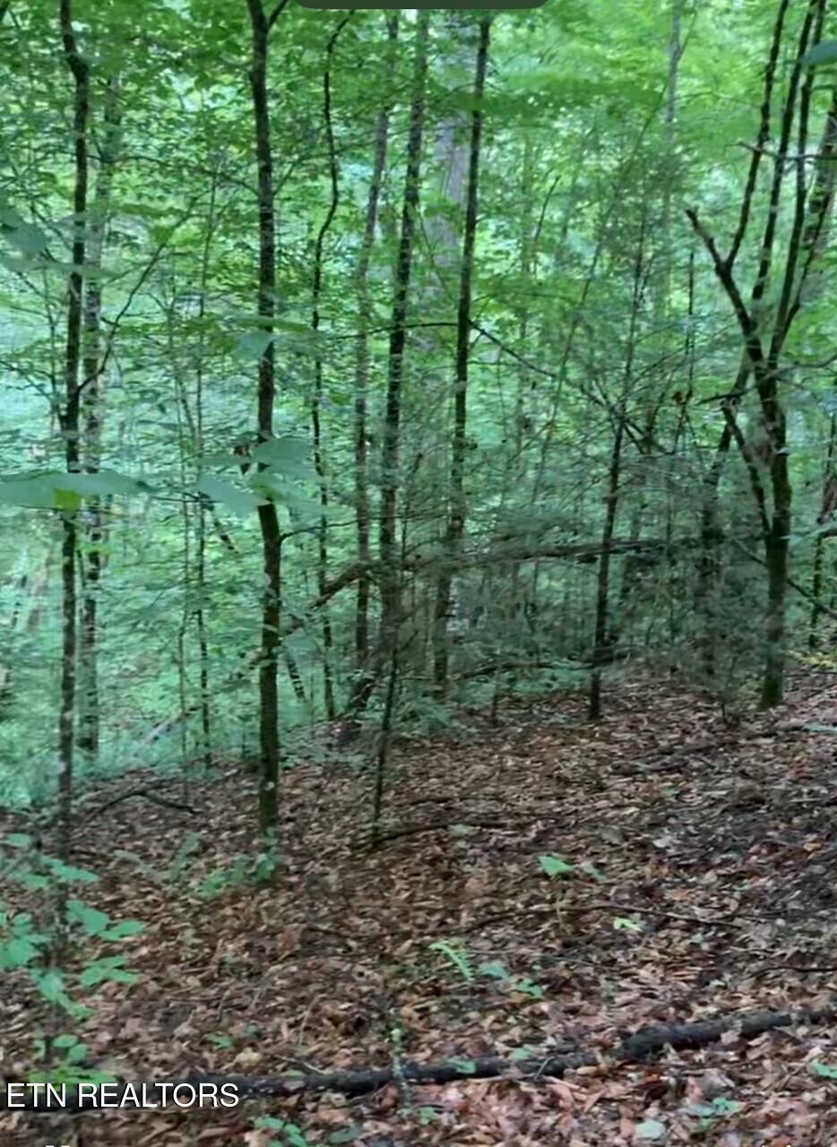 1477 Old Chilhowee Road Seymour TN 37865