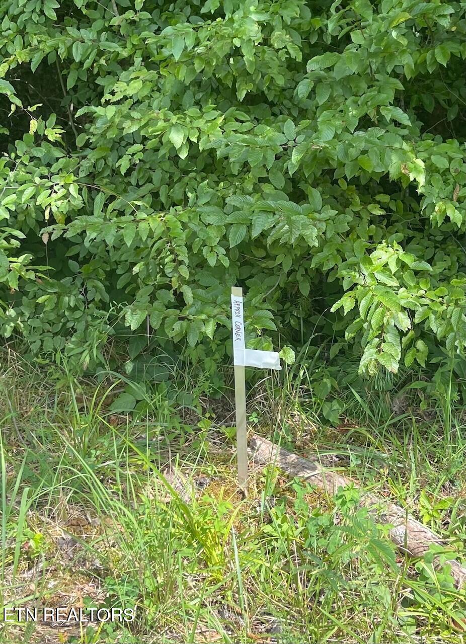 1477 Old Chilhowee Road Seymour TN 37865