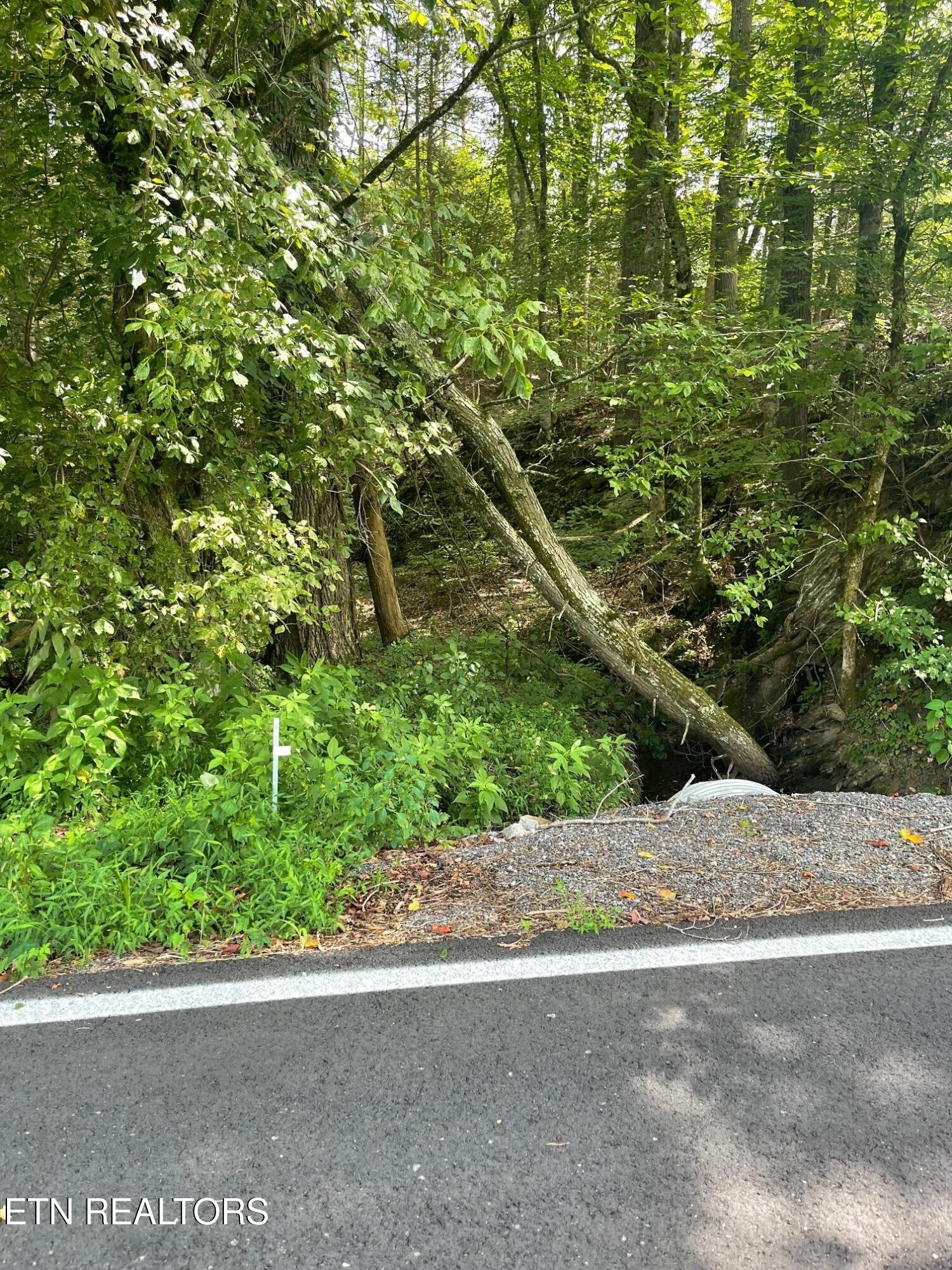 1477 Old Chilhowee Road Seymour TN 37865
