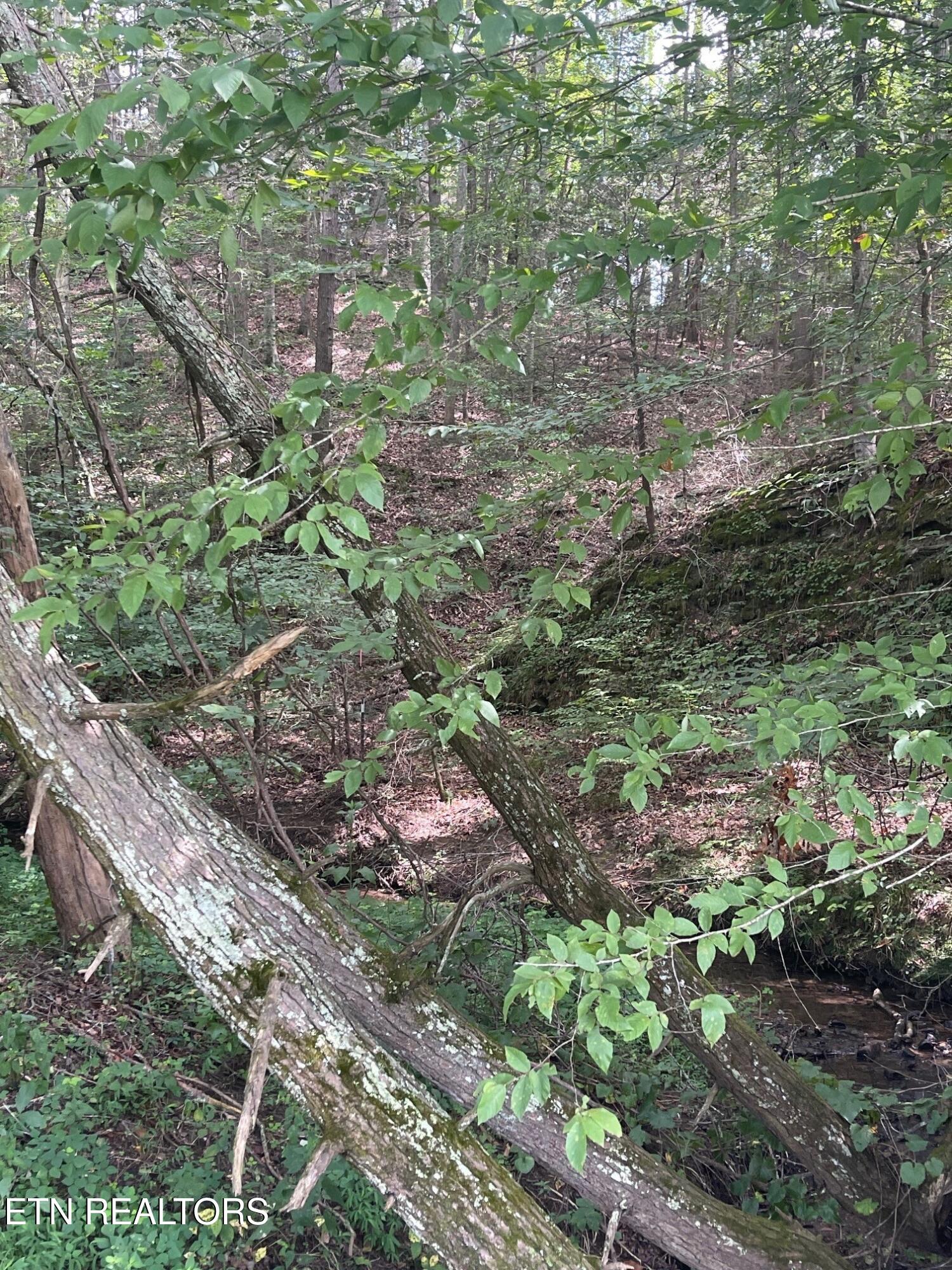 1477 Old Chilhowee Road Seymour TN 37865