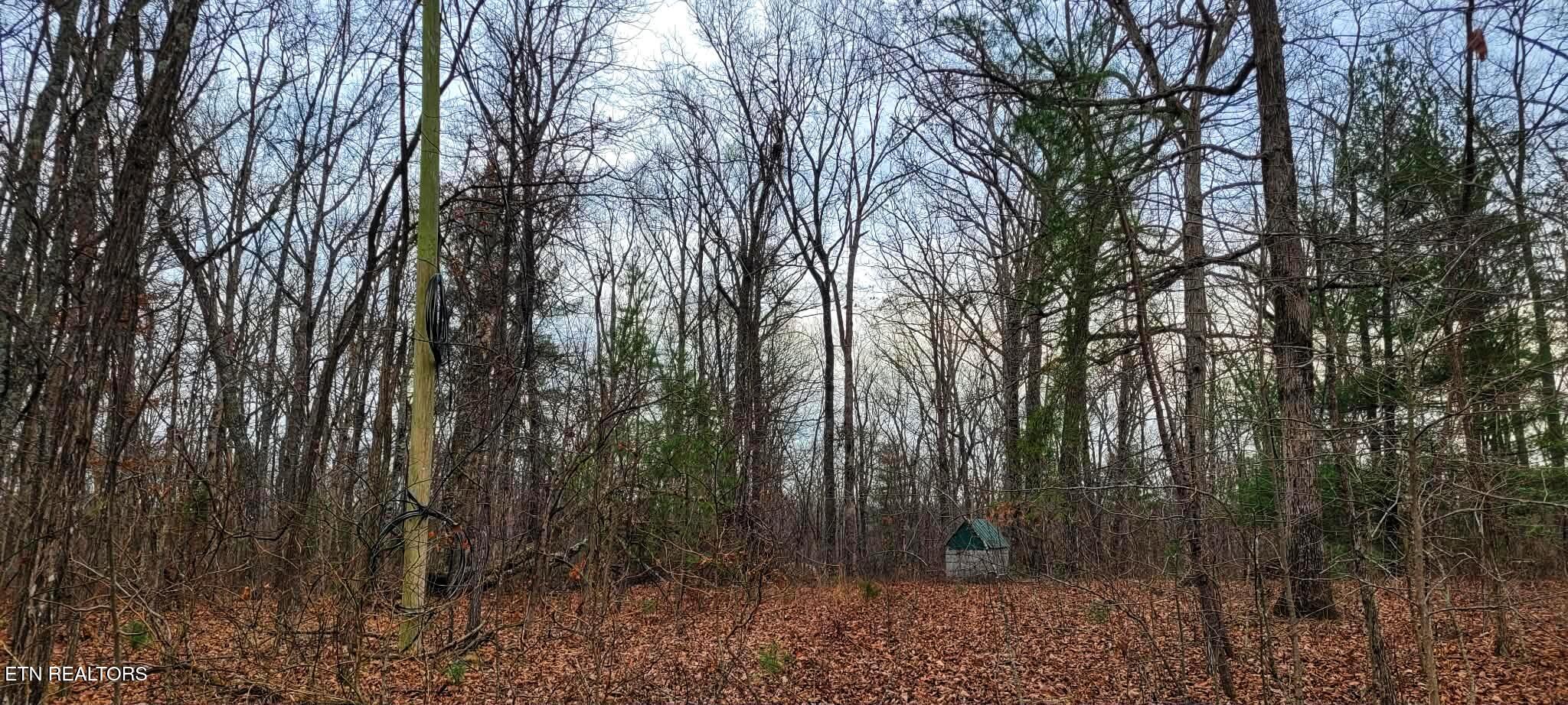 4.9 Acres Raccoon Ridge Road Spring City TN 37381