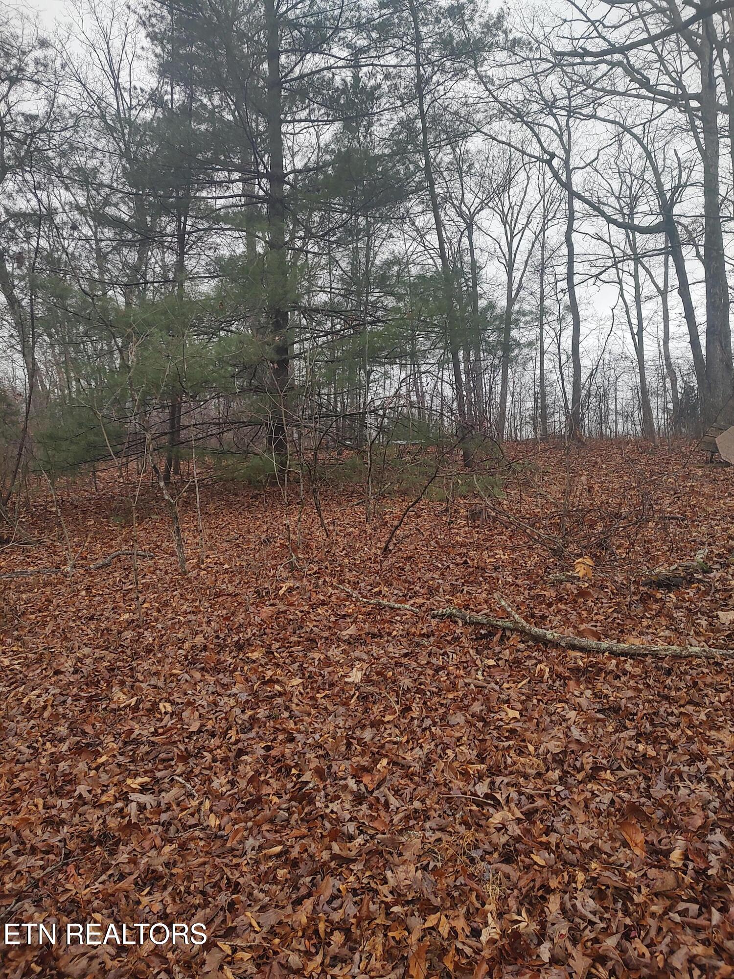 4.9 Acres Raccoon Ridge Road Spring City TN 37381