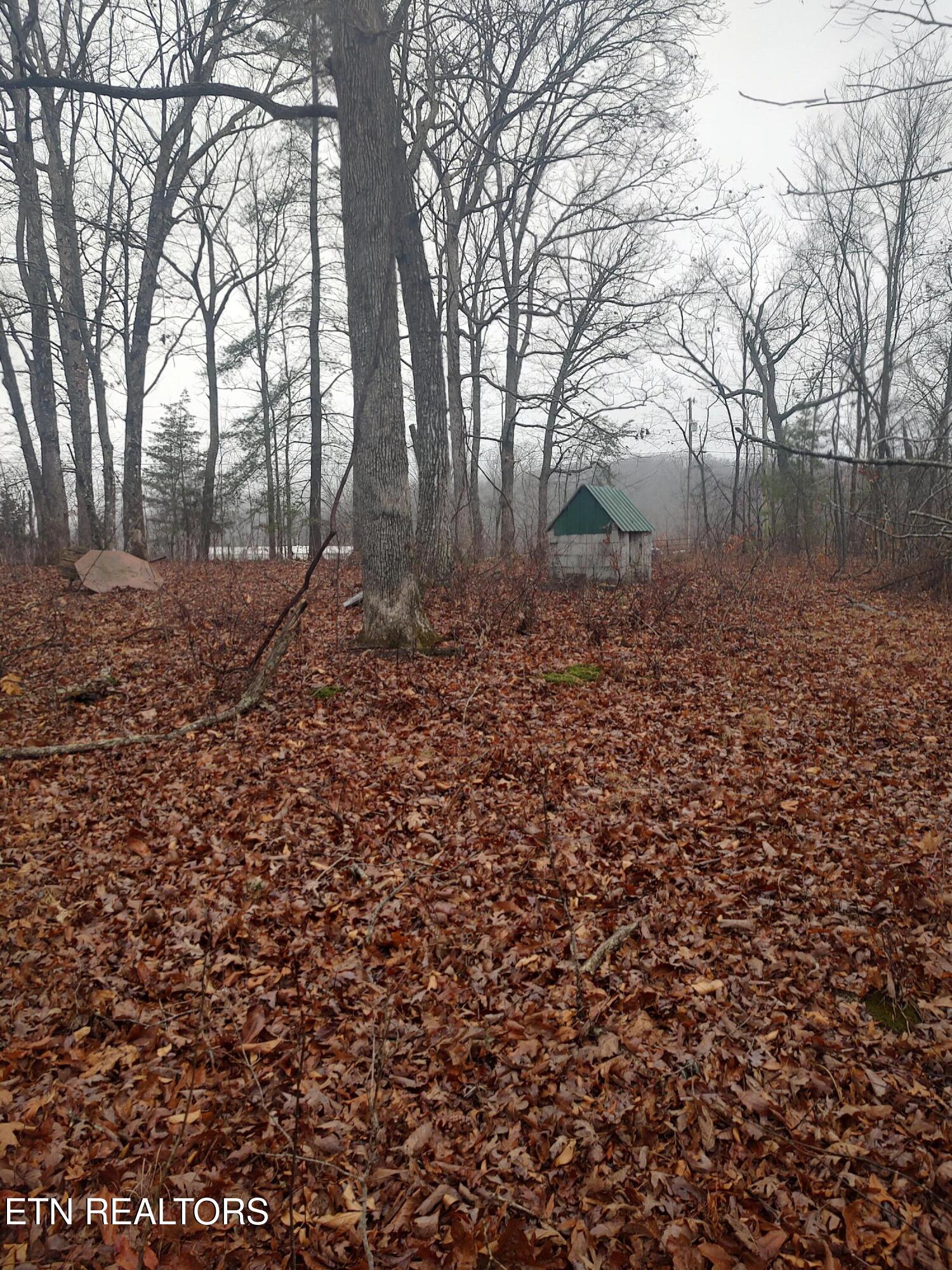 4.9 Acres Raccoon Ridge Road Spring City TN 37381
