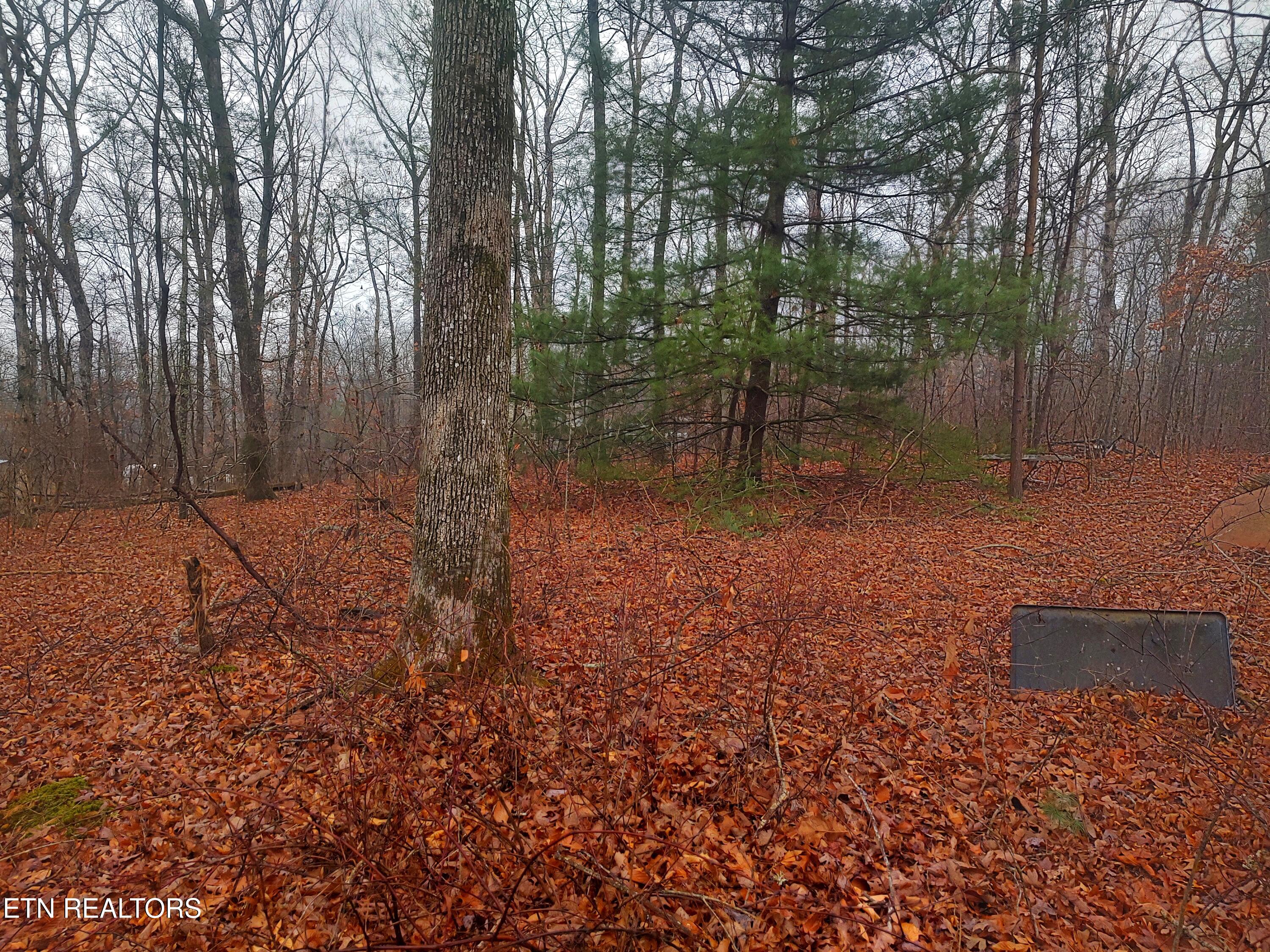 4.9 Acres Raccoon Ridge Road Spring City TN 37381