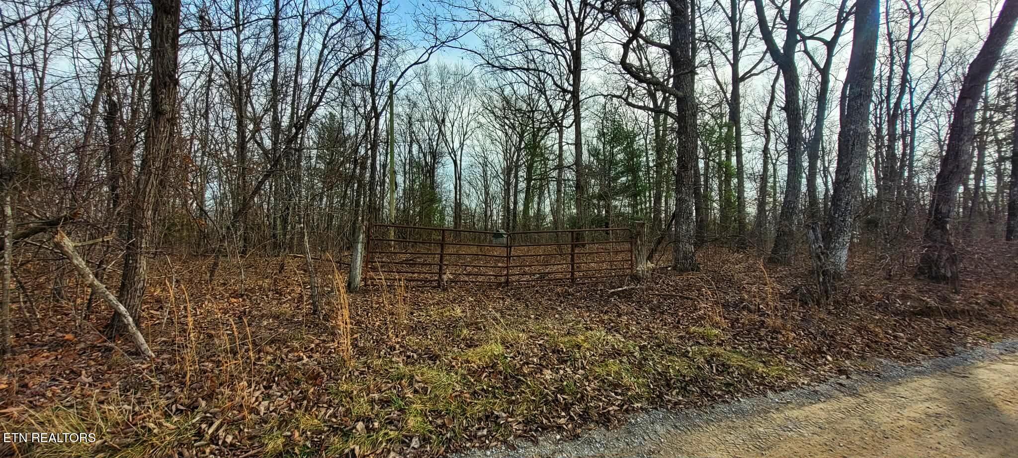 4.9 Acres Raccoon Ridge Road Spring City TN 37381