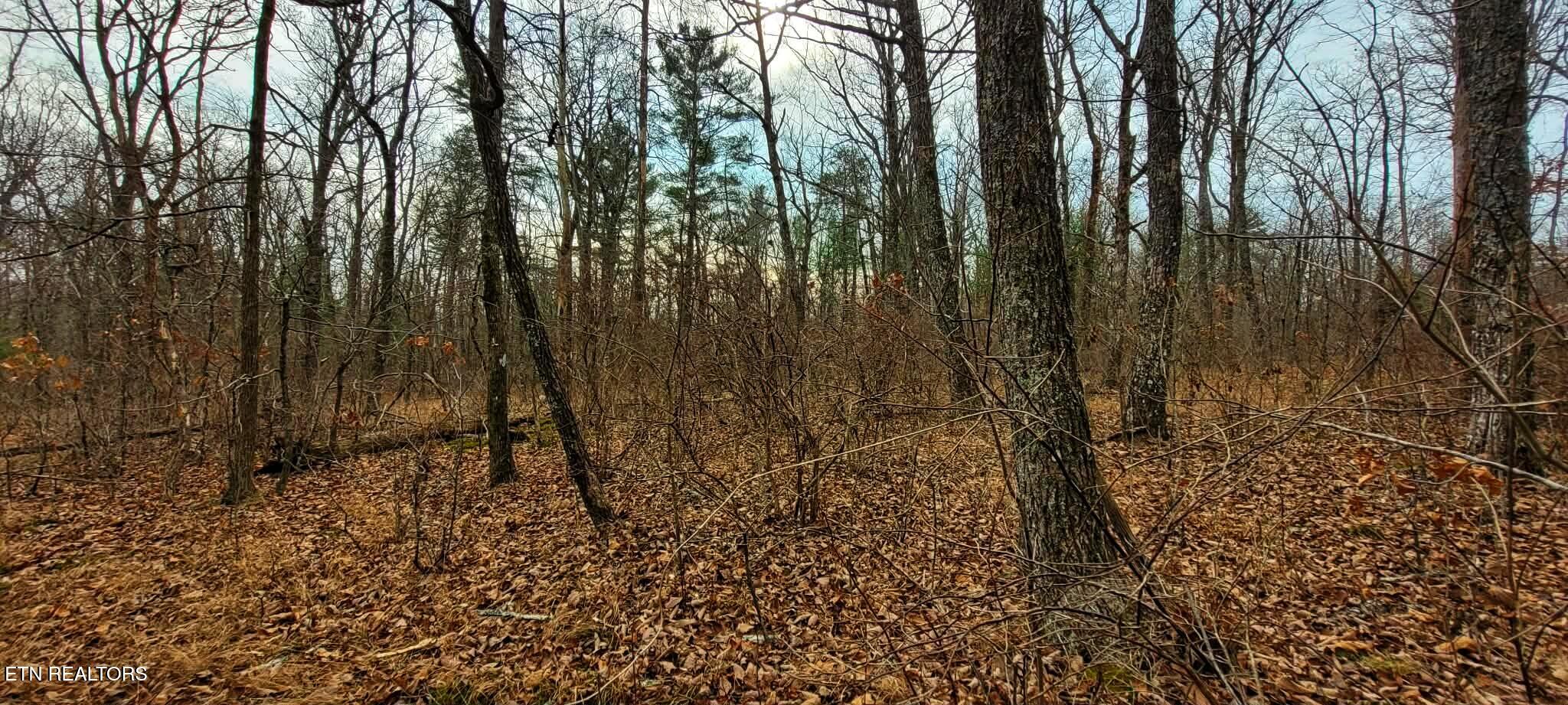 4.9 Acres Raccoon Ridge Road Spring City TN 37381
