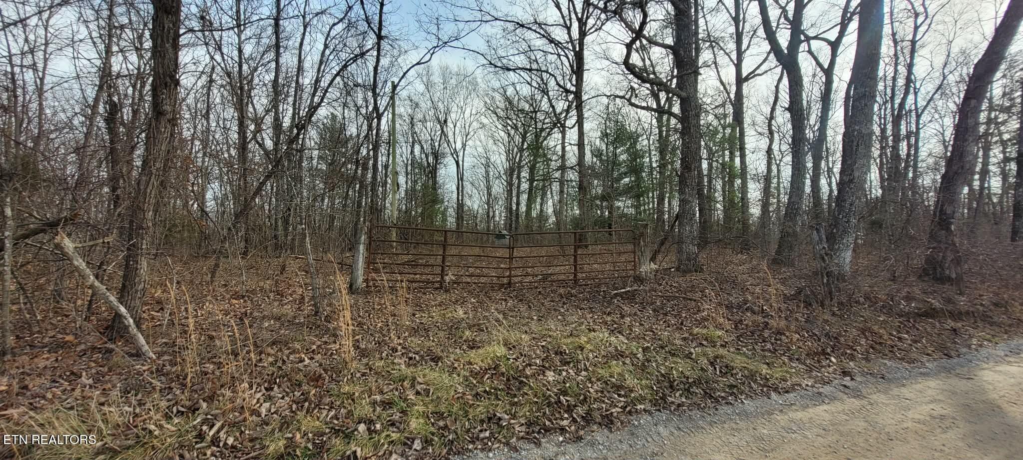 4.9 Acres Raccoon Ridge Road Spring City TN 37381