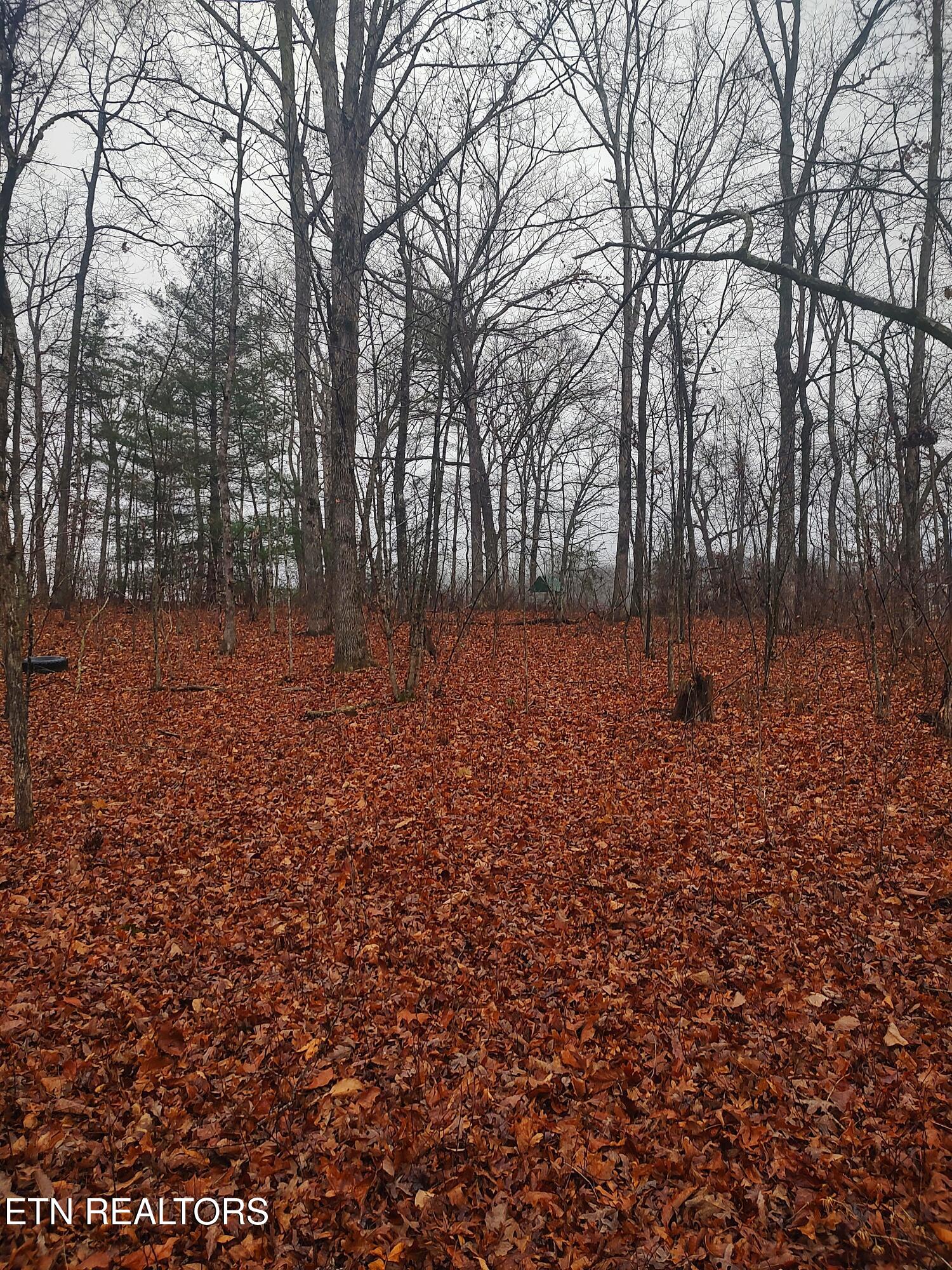 4.9 Acres Raccoon Ridge Road Spring City TN 37381