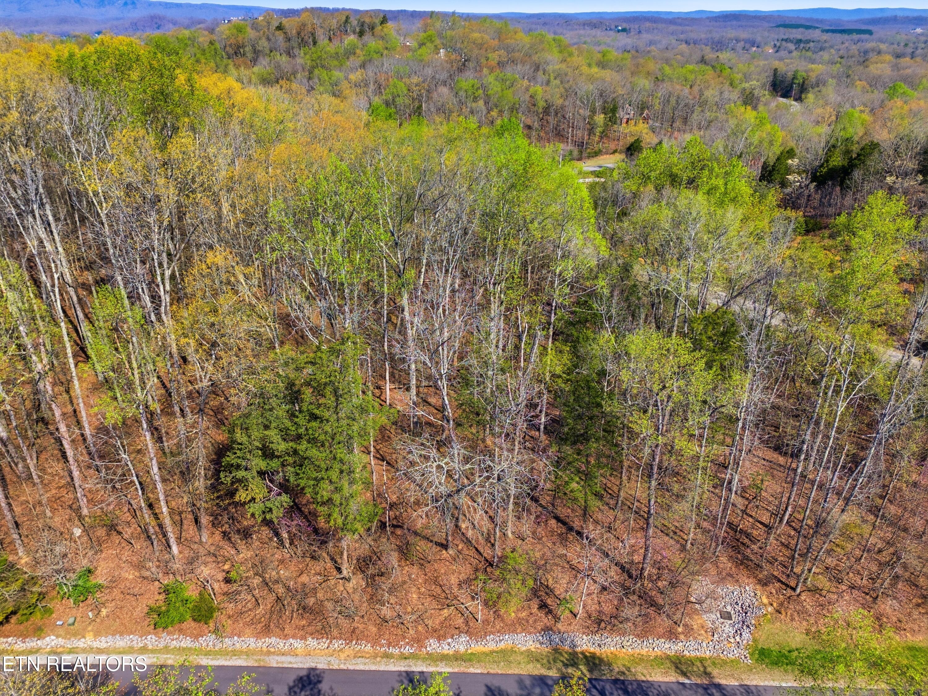 Lot 142 E Shore Drive Rockwood TN 37854