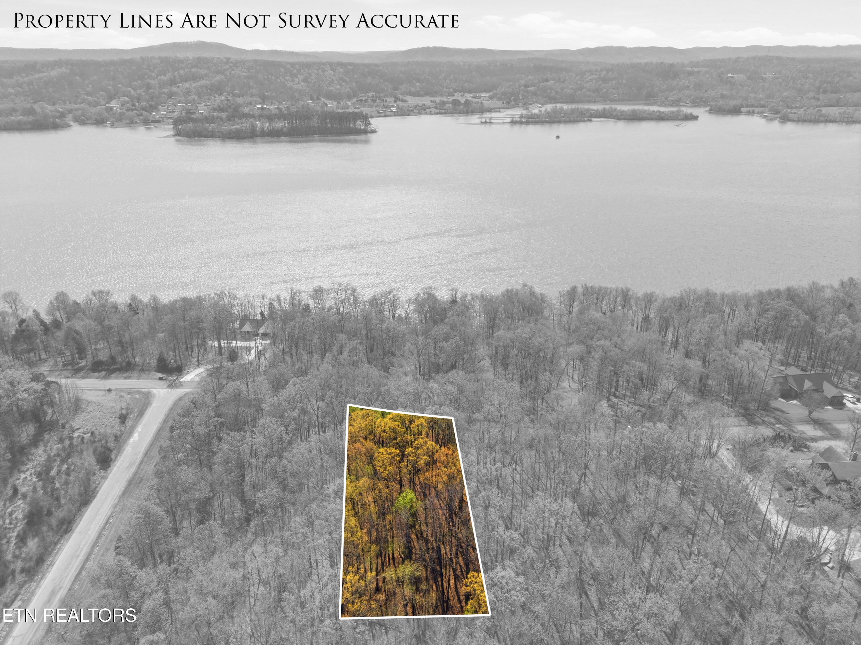 Lot 142 E Shore Drive Rockwood TN 37854