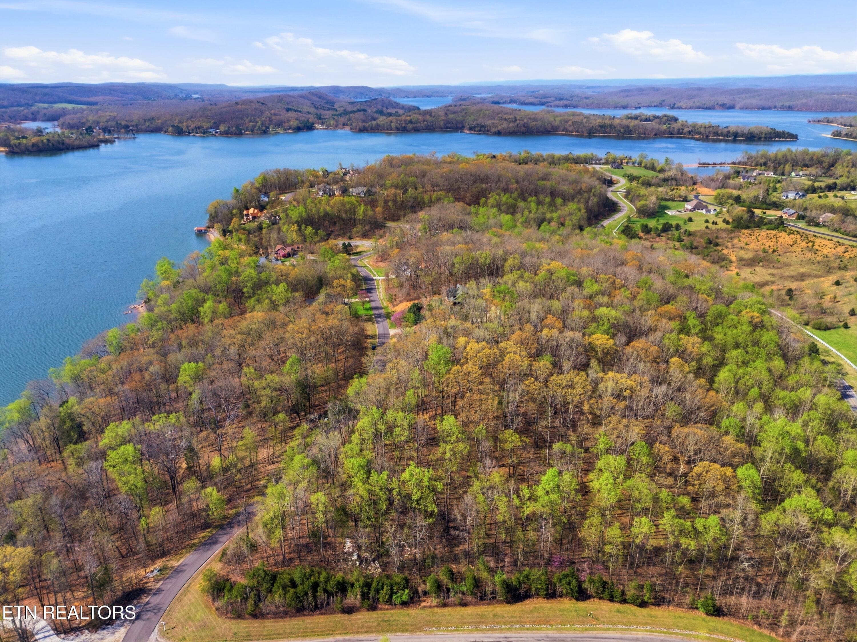 Lot 142 E Shore Drive Rockwood TN 37854