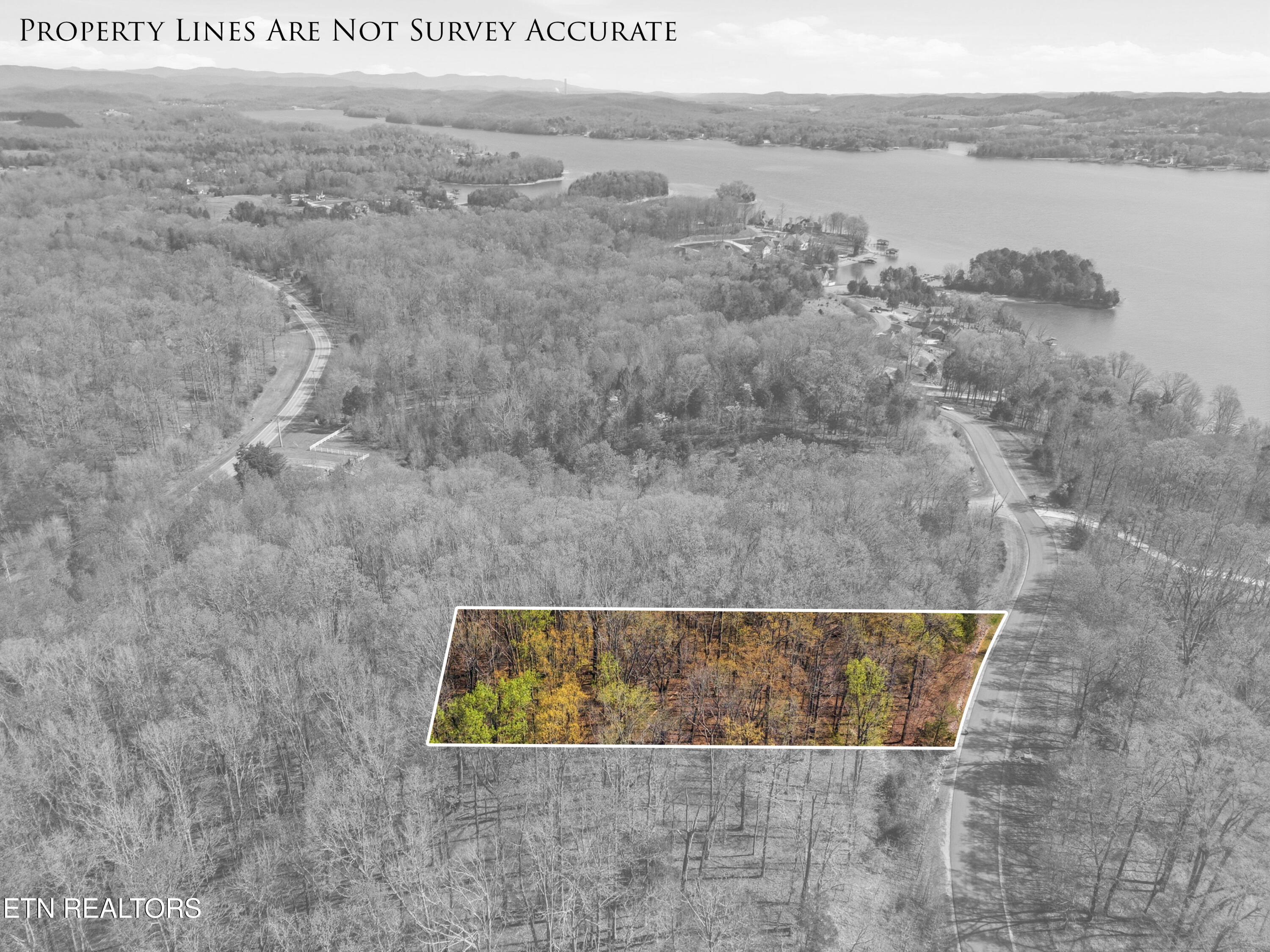 Lot 142 E Shore Drive Rockwood TN 37854