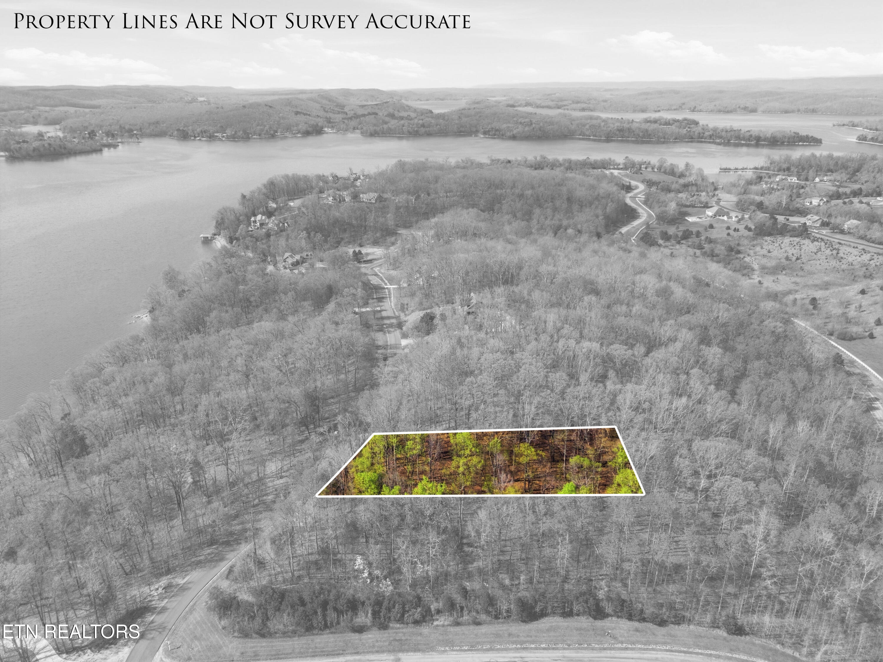 Lot 142 E Shore Drive Rockwood TN 37854