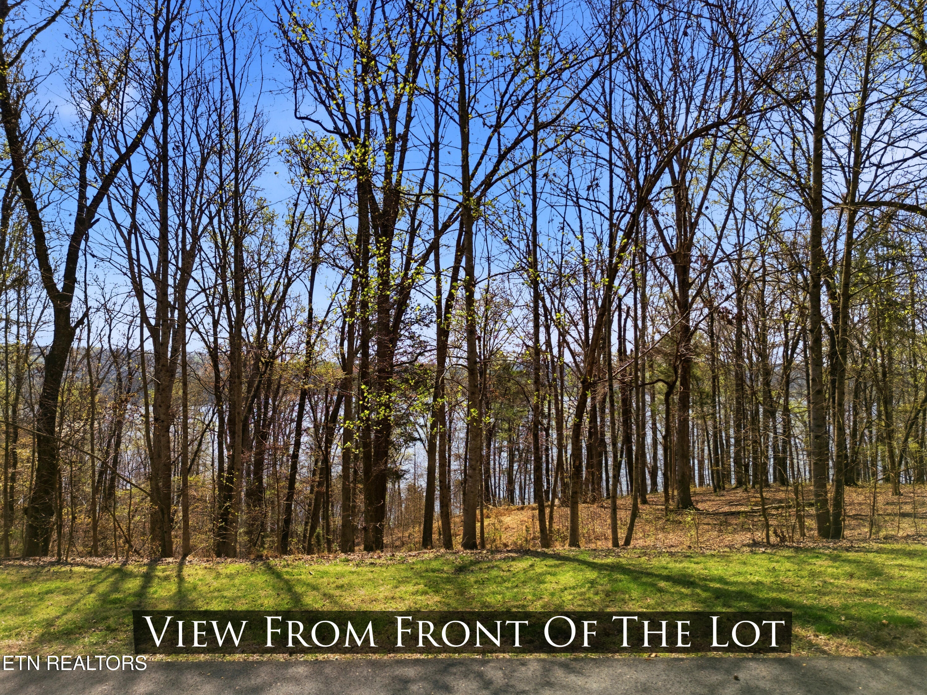 Lot 142 E Shore Drive Rockwood TN 37854