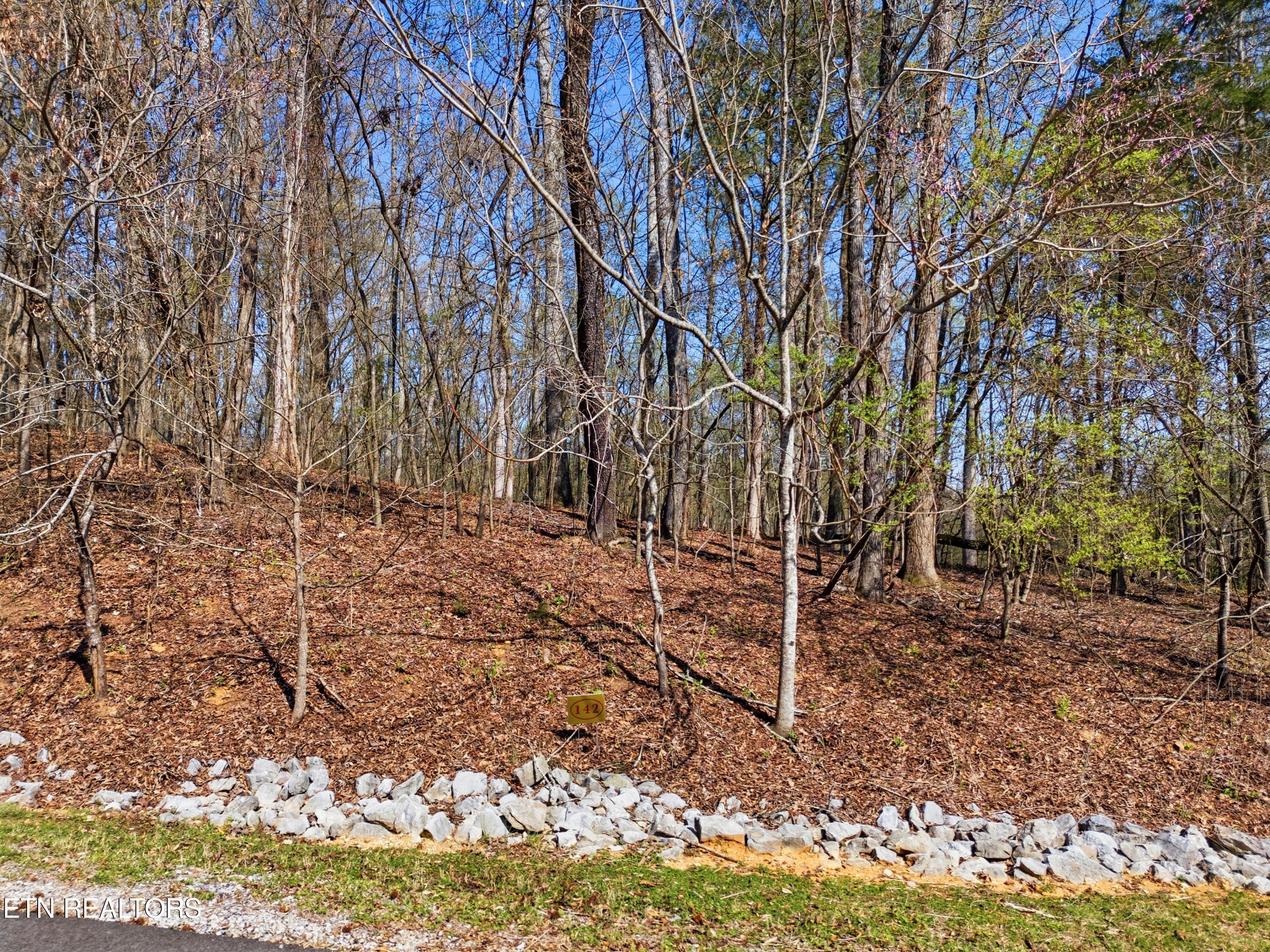 Lot 142 E Shore Drive Rockwood TN 37854