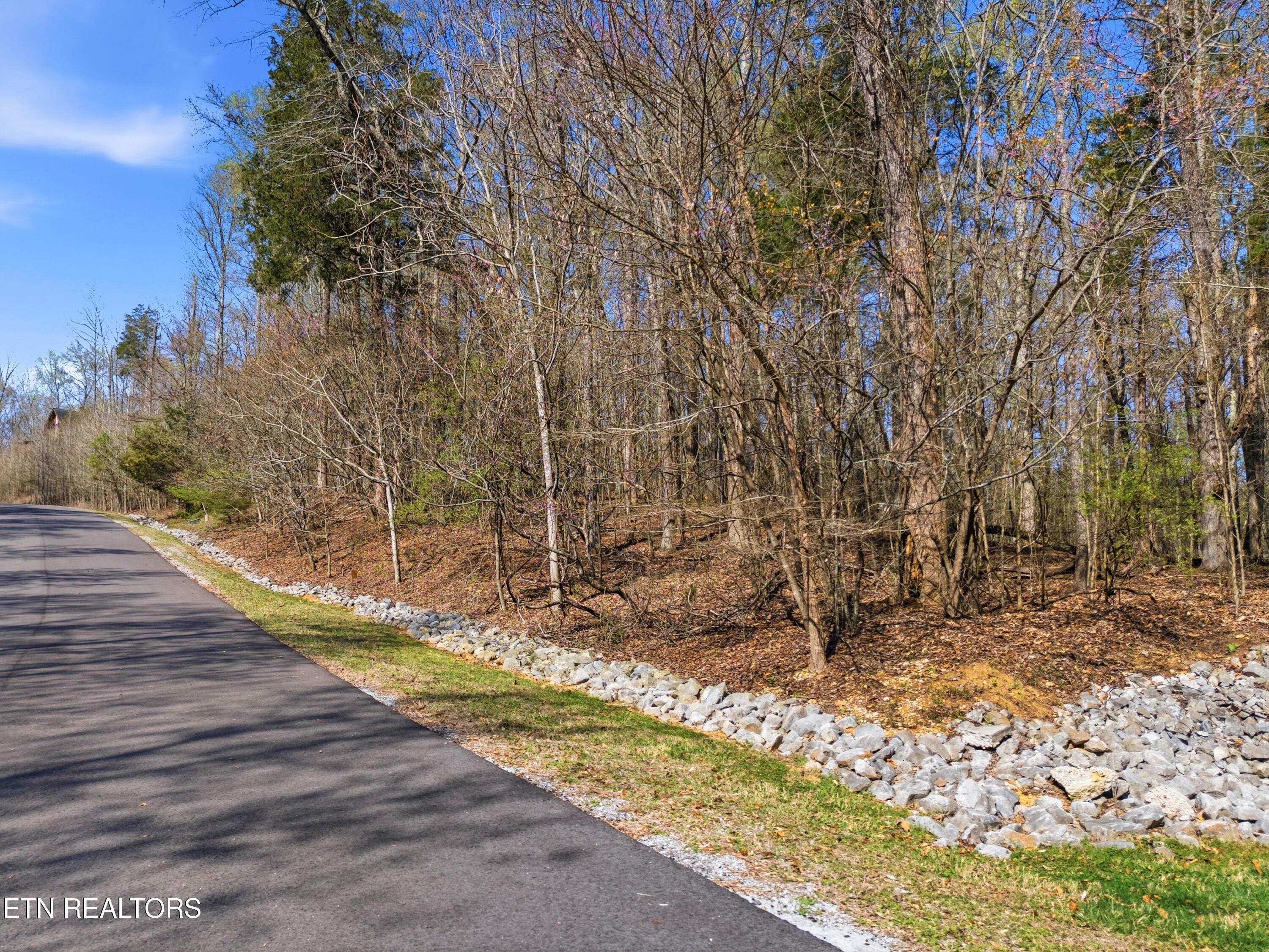 Lot 142 E Shore Drive Rockwood TN 37854