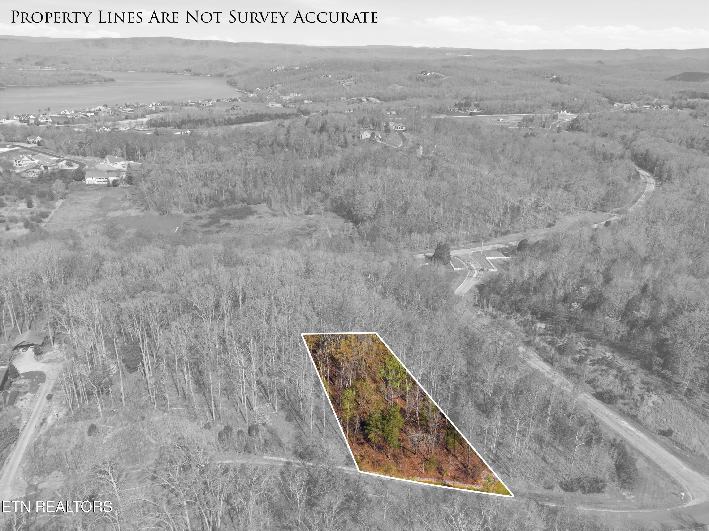 Lot 142 E Shore Drive Rockwood TN 37854