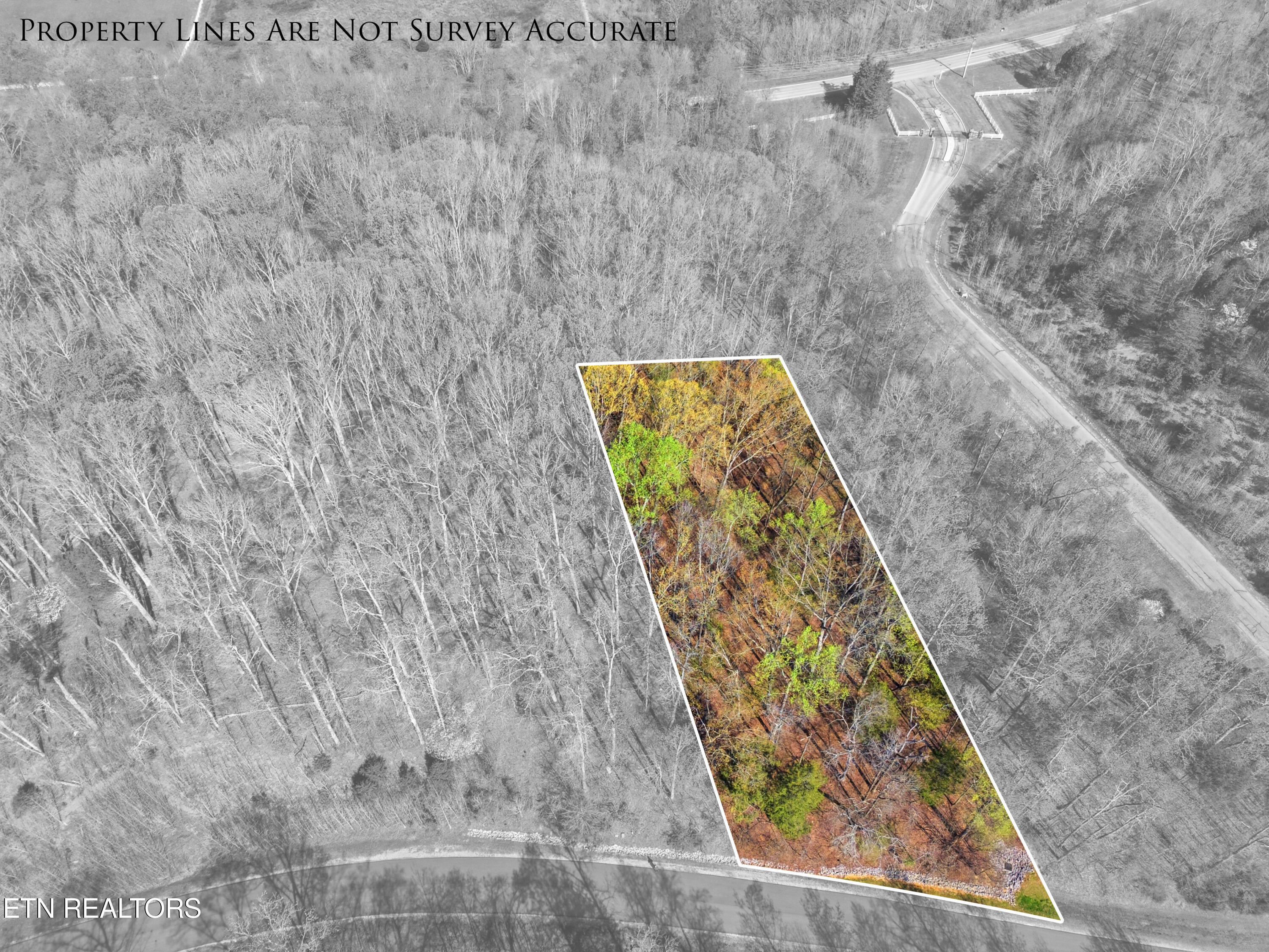 Lot 142 E Shore Drive Rockwood TN 37854
