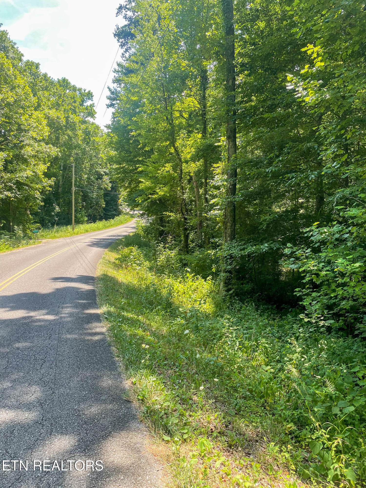Lots 1 & 2 Pates Hills Road Mosheim TN 37818