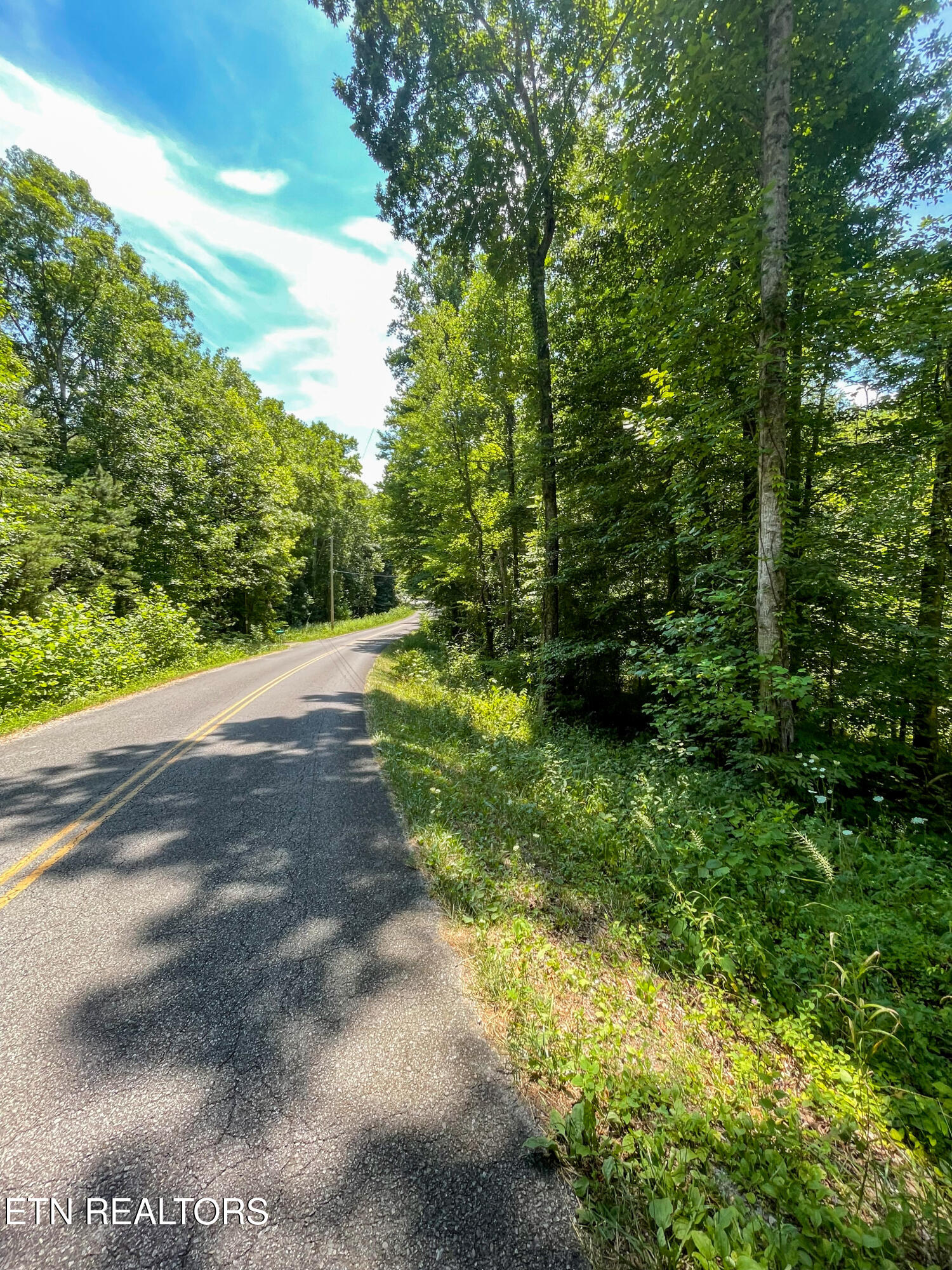 Lots 1 & 2 Pates Hills Road Mosheim TN 37818