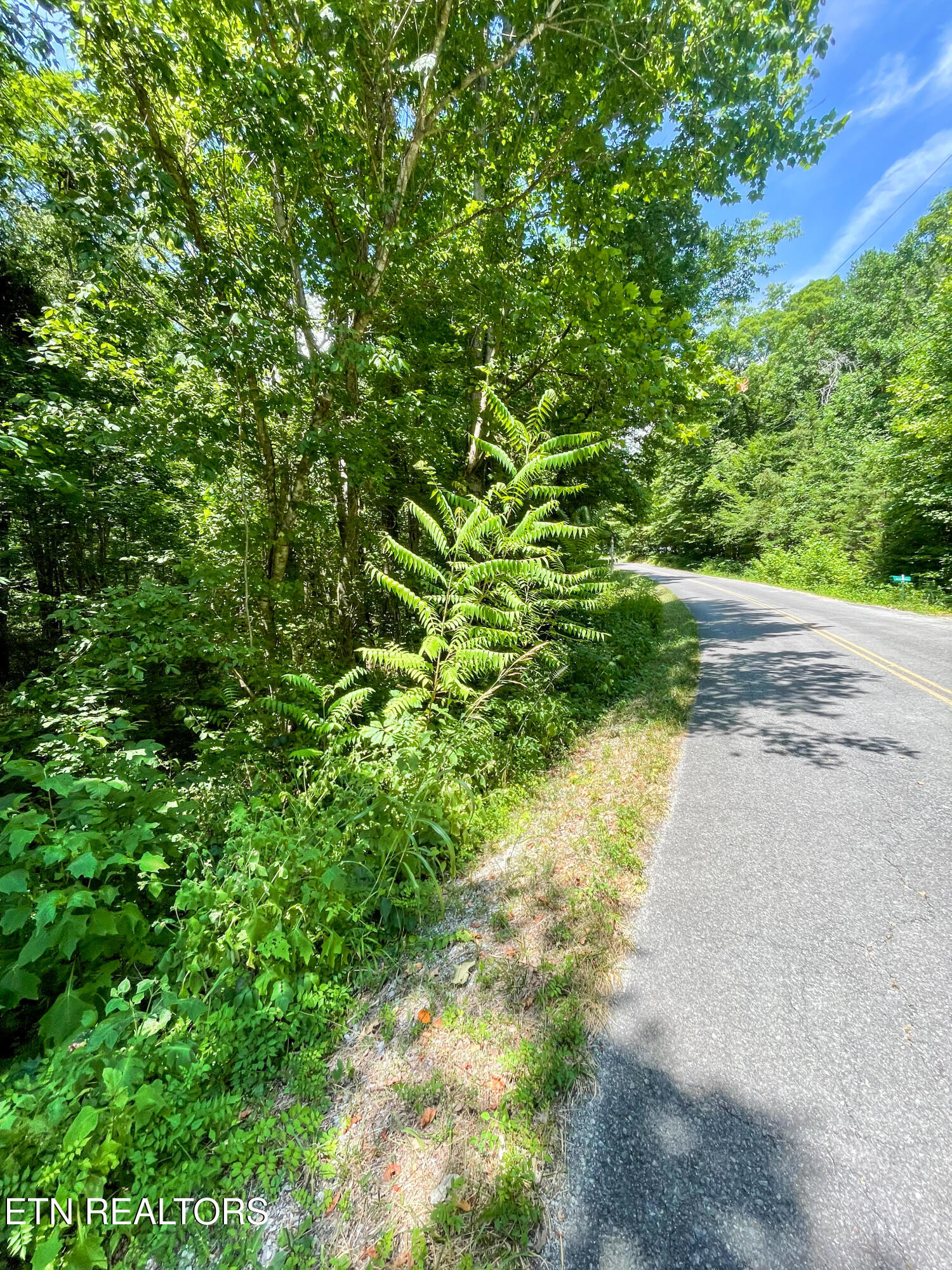 Lots 1 & 2 Pates Hills Road Mosheim TN 37818