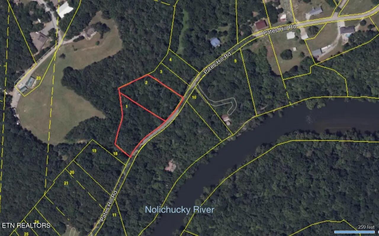 Lots 1 & 2 Pates Hills Road Mosheim TN 37818