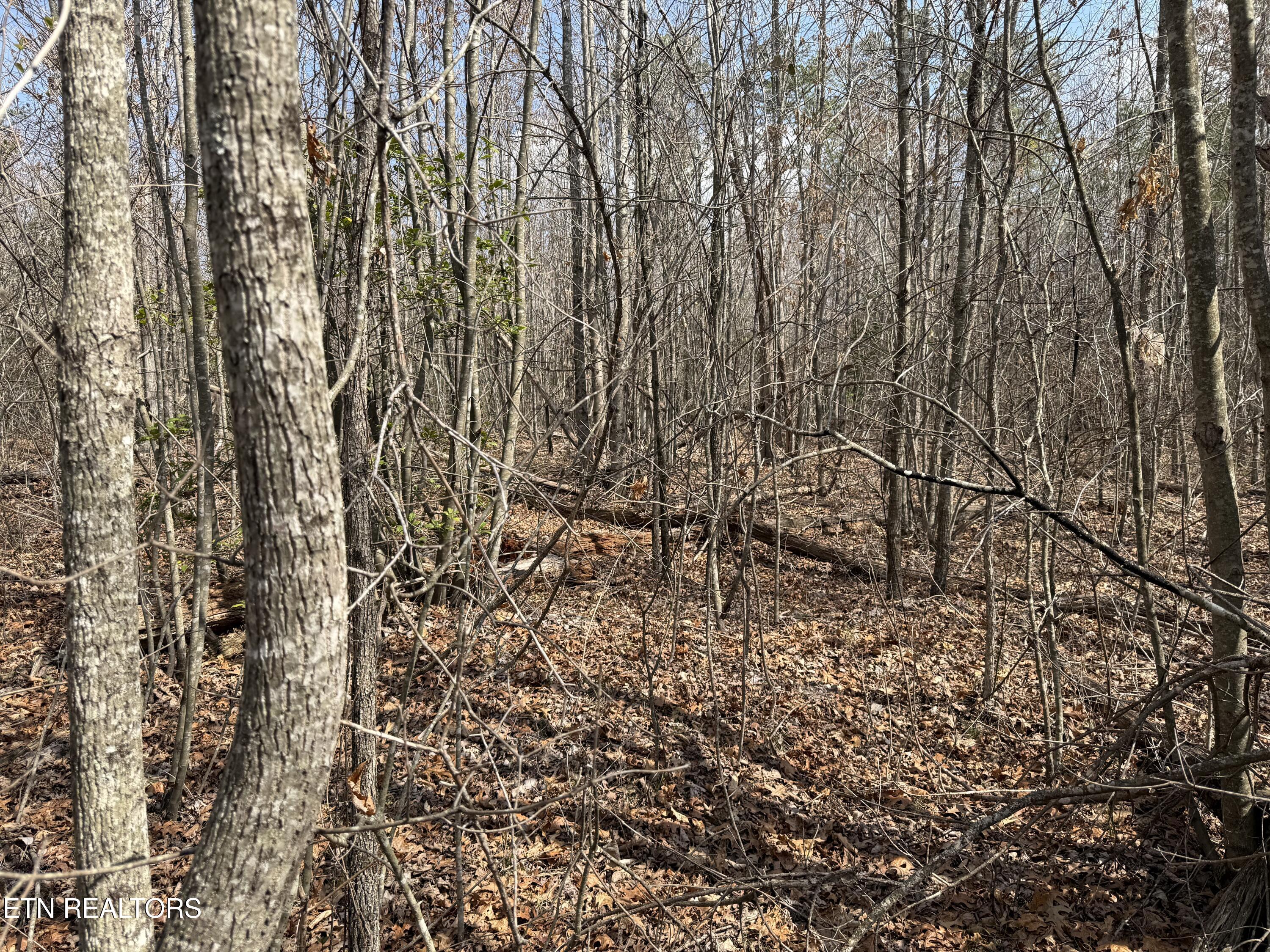 Cumberland Lakes Drive Monterey TN 38574