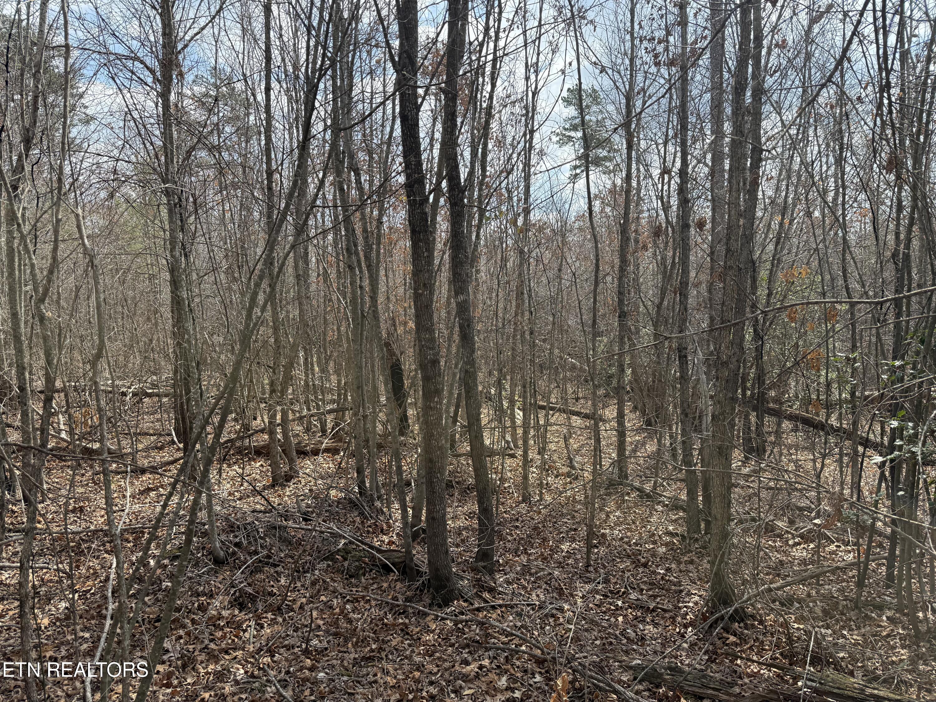 Cumberland Lakes Drive Monterey TN 38574