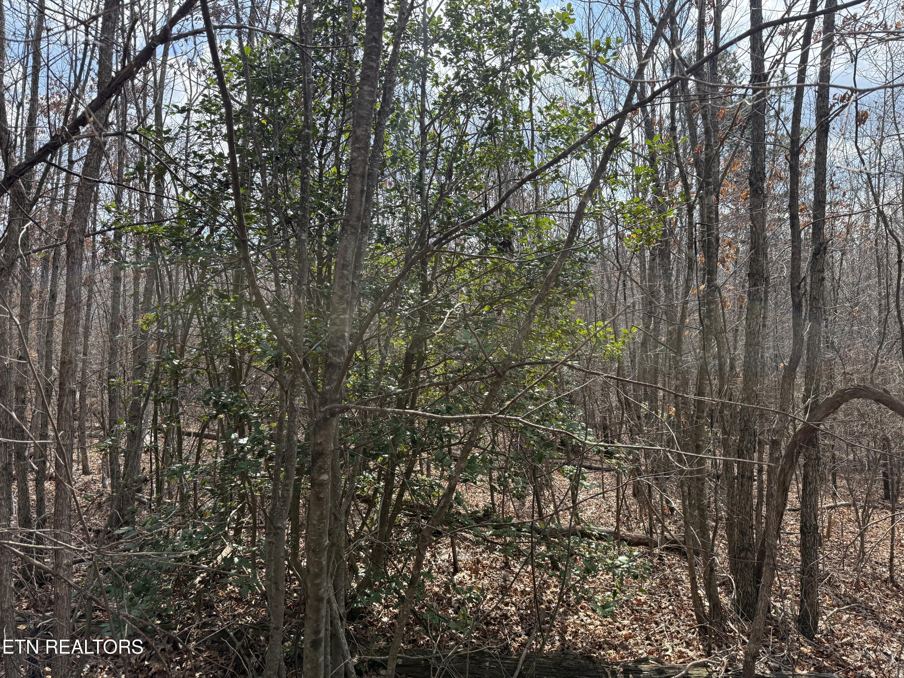 Cumberland Lakes Drive Monterey TN 38574