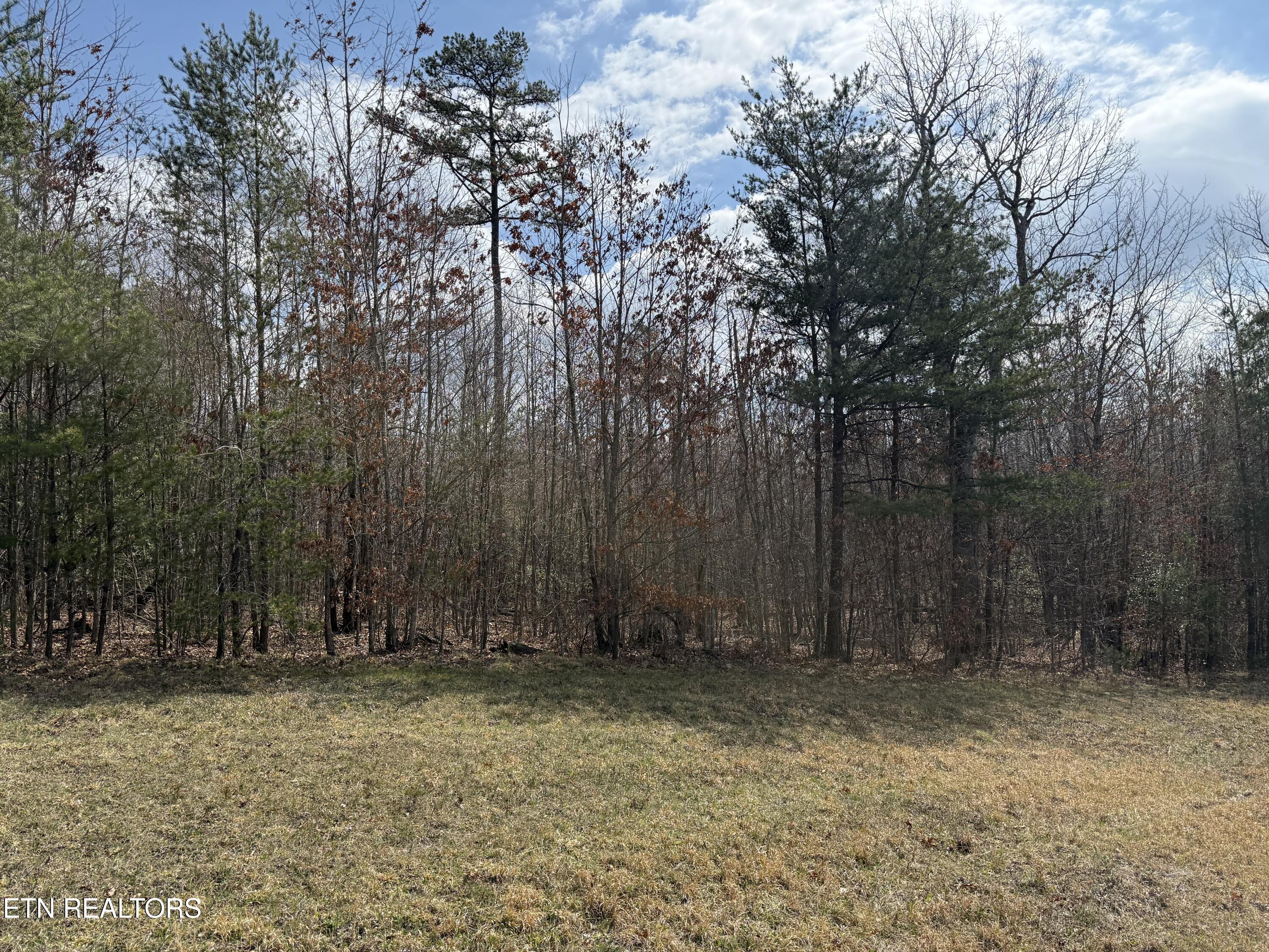 Cumberland Lakes Drive Monterey TN 38574