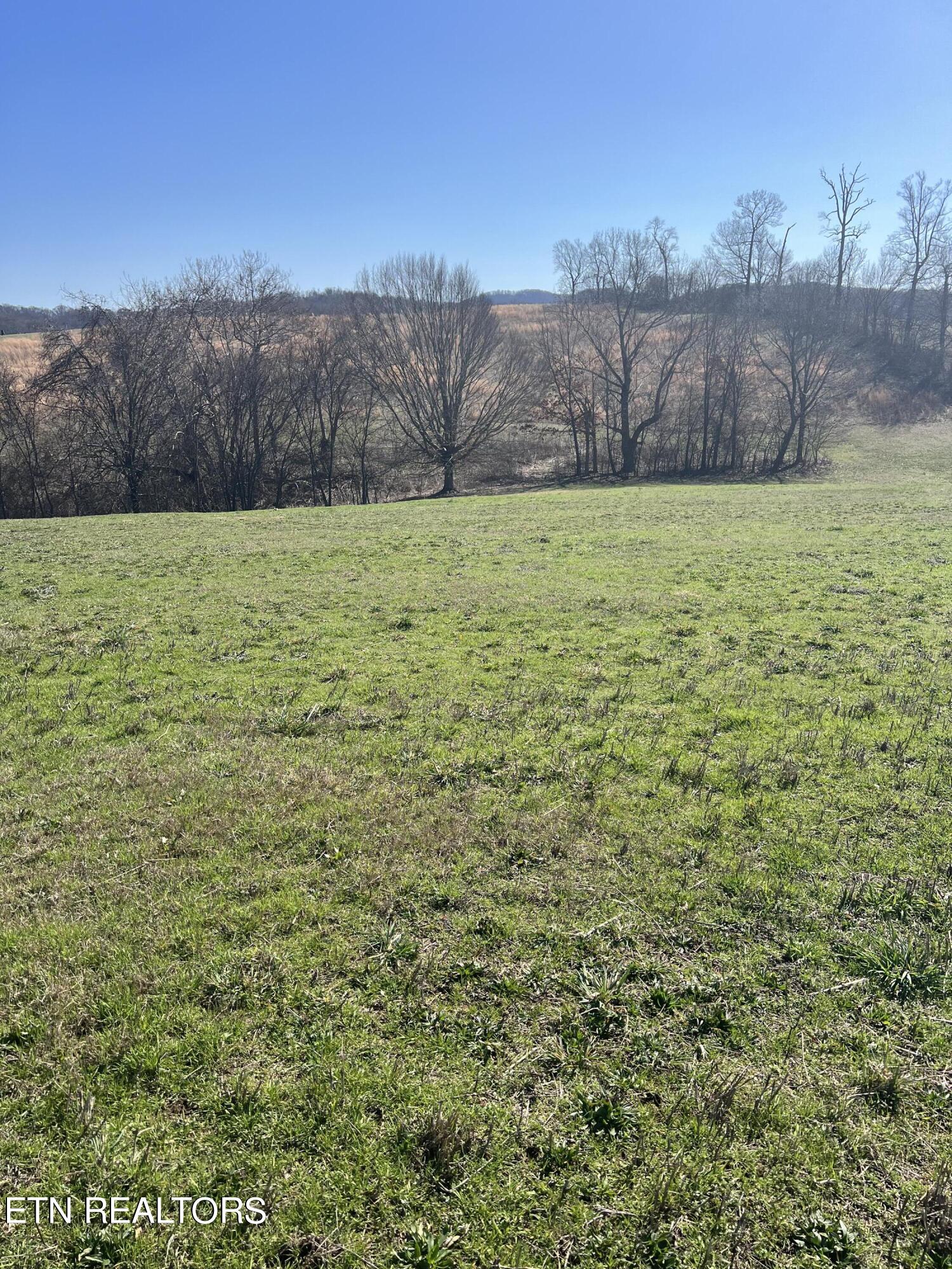 Lot 8 Schertz Lane Rutledge TN 37861