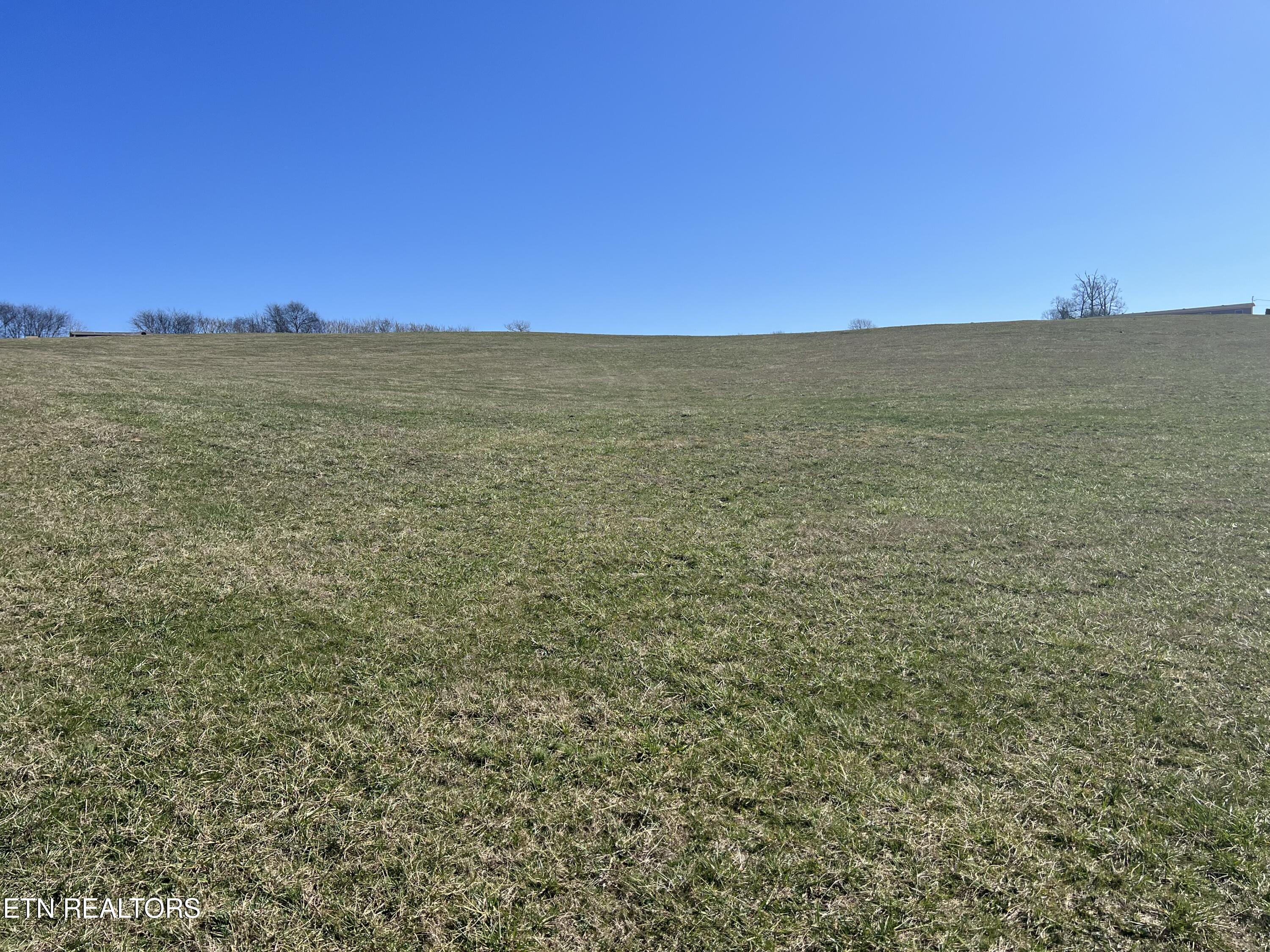 Lot 8 Schertz Lane Rutledge TN 37861