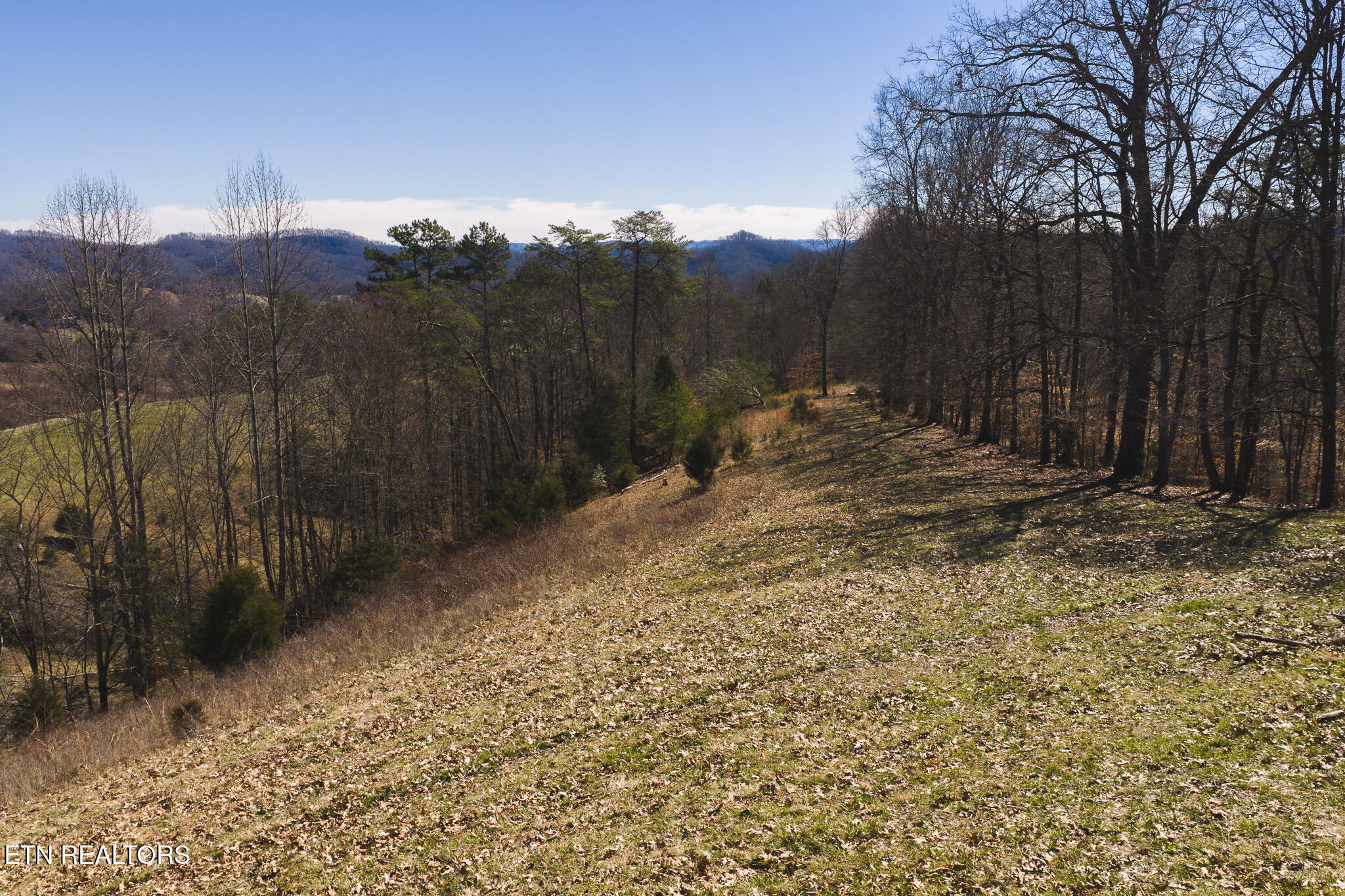 50 Acres Sutton Hollow Road Sneedville TN 37869