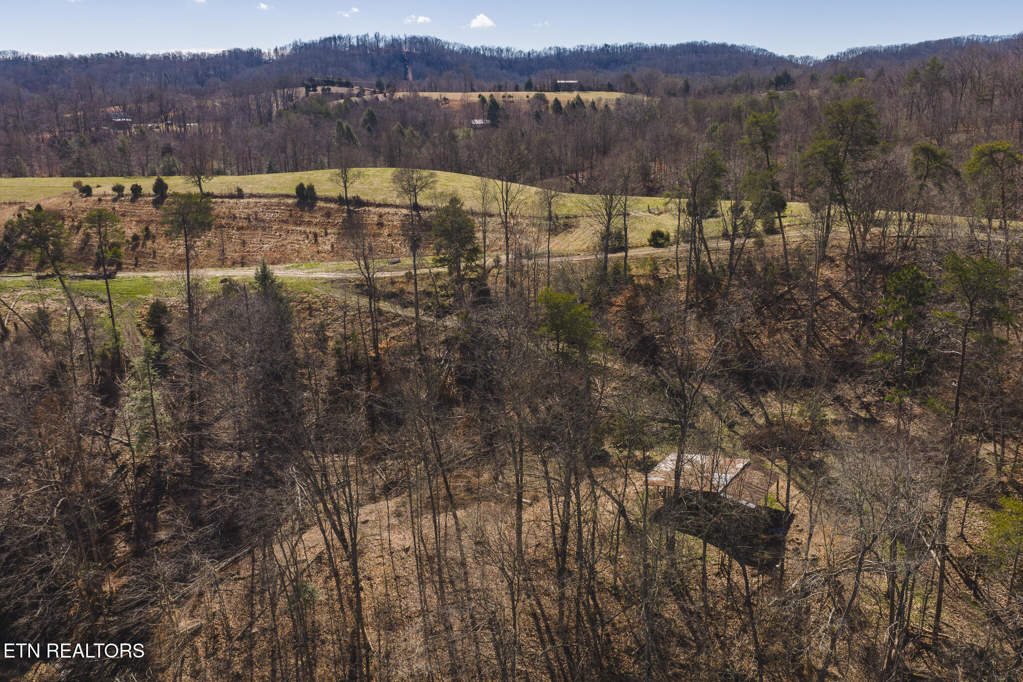 50 Acres Sutton Hollow Road Sneedville TN 37869